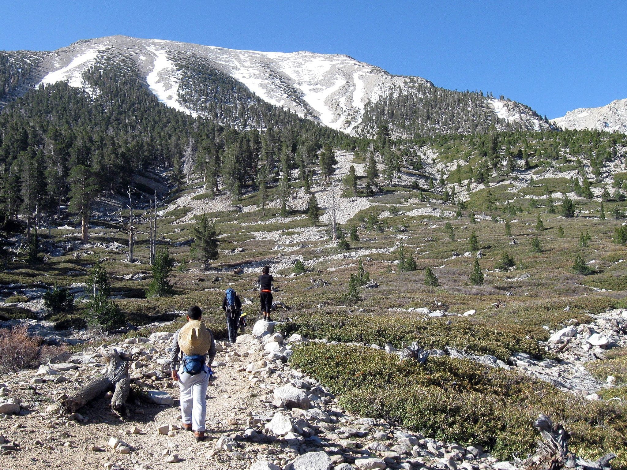 San Gorgonio Trail between snow covered mountain summits.