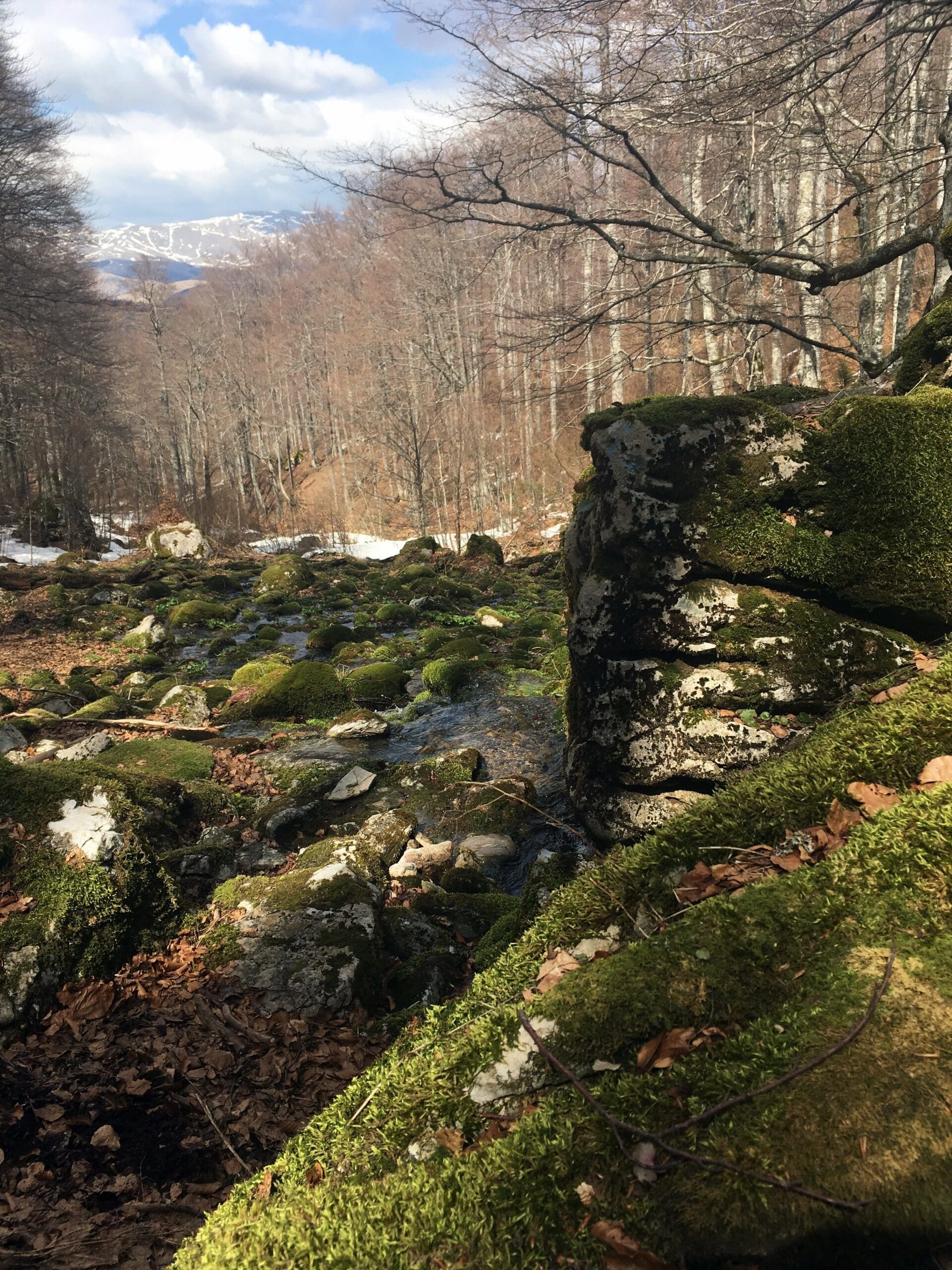 Hiking in Bosnia