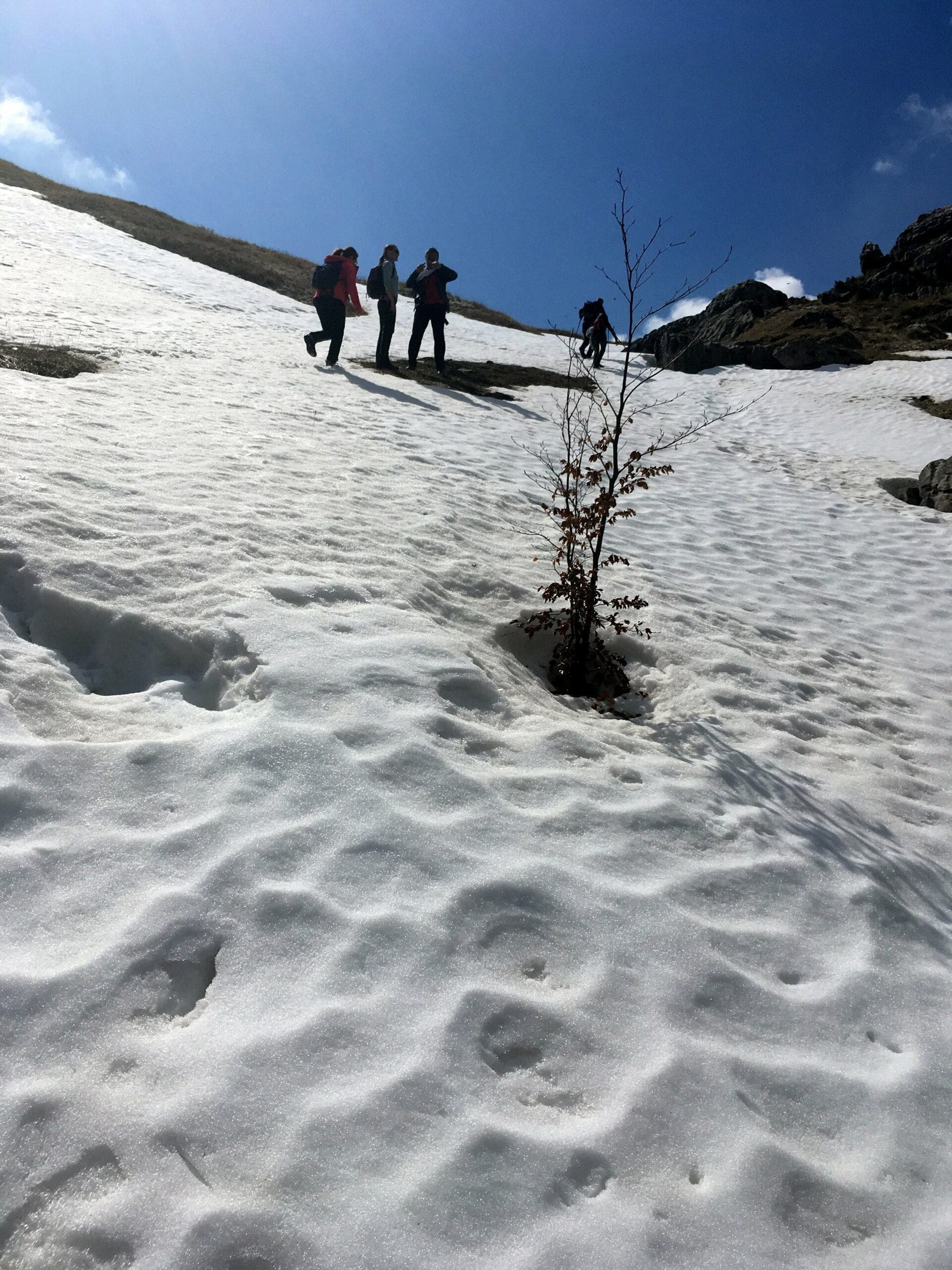 snow on Crveni Kuk