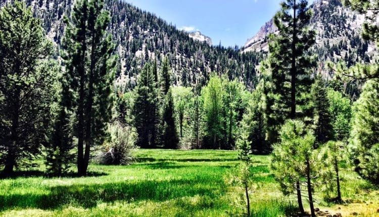 Hiking in the Eastern Sierras