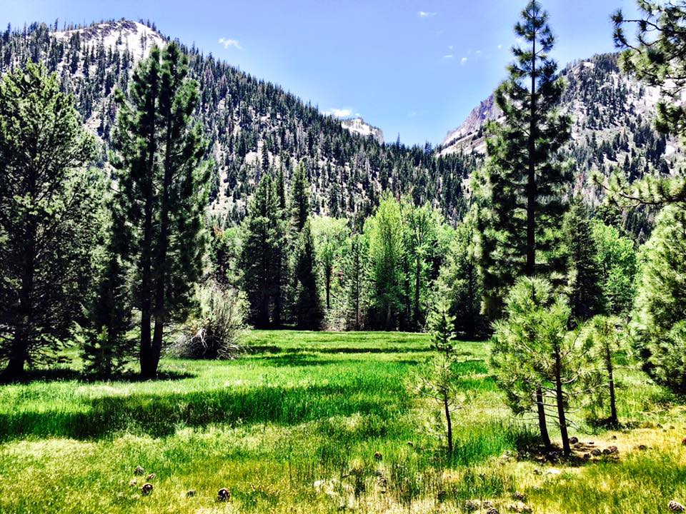 Hiking in the Eastern Sierras