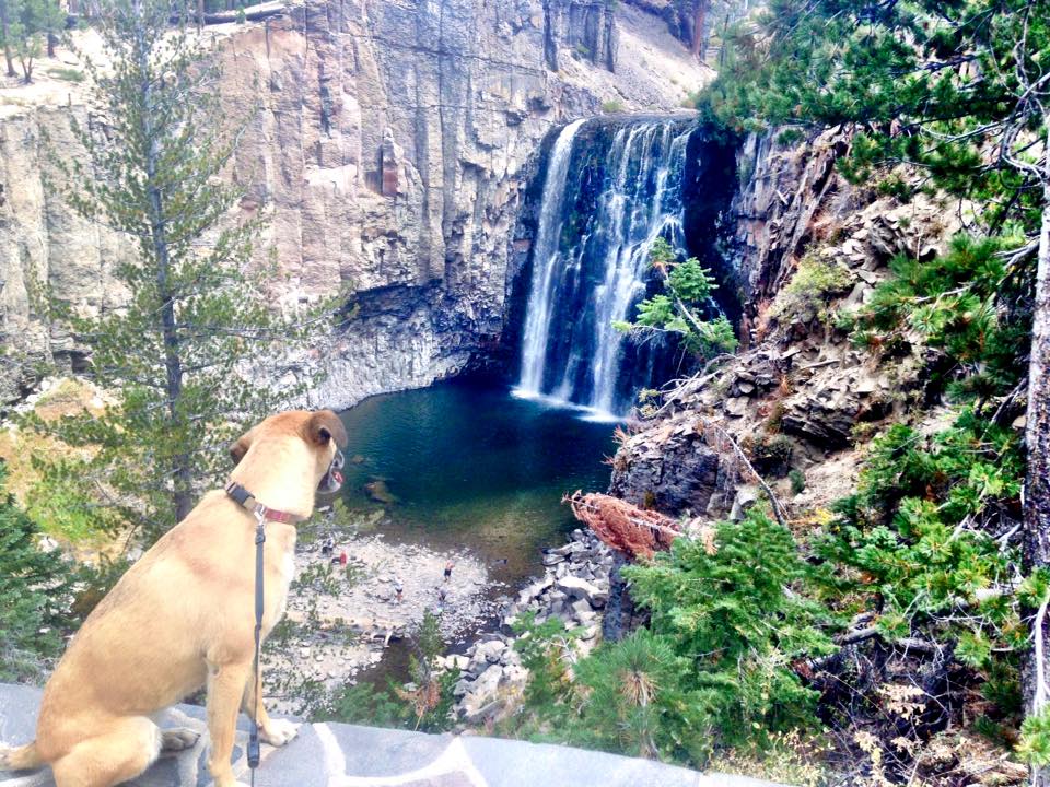 Hiking in the Eastern Sierras