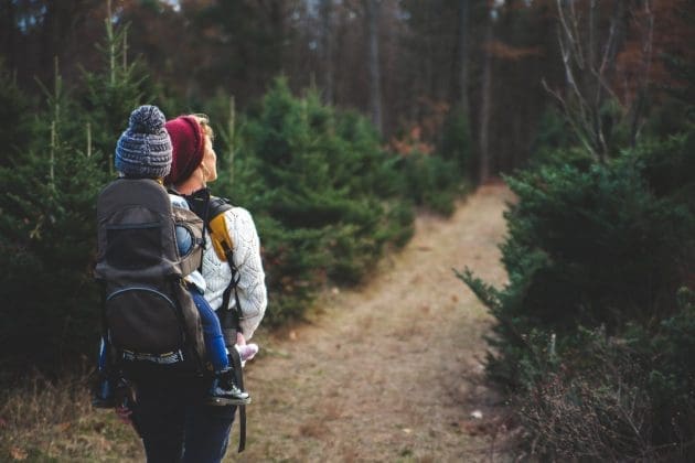 8 Kid friendly and Easy hikes in Mammoth Lakes | Rockchuck Summit