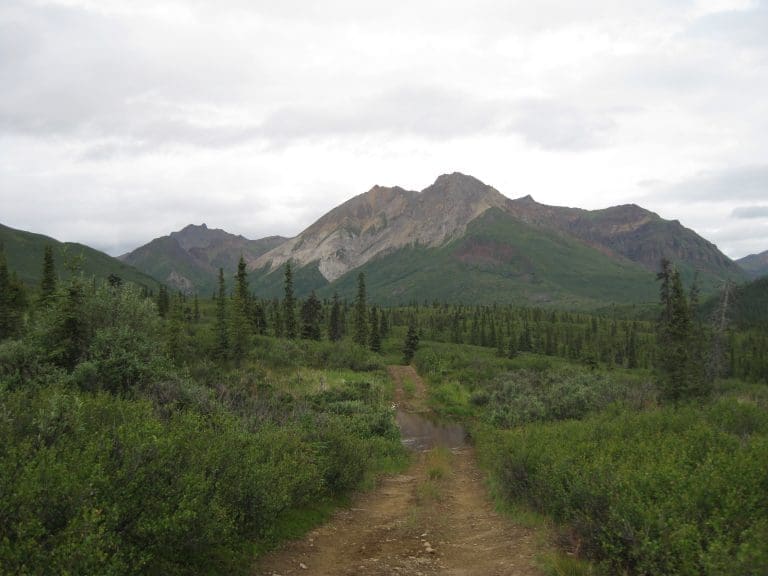 The Spectacular Chitna Pass Traverse – Solo Hike – Rockchuck Summit