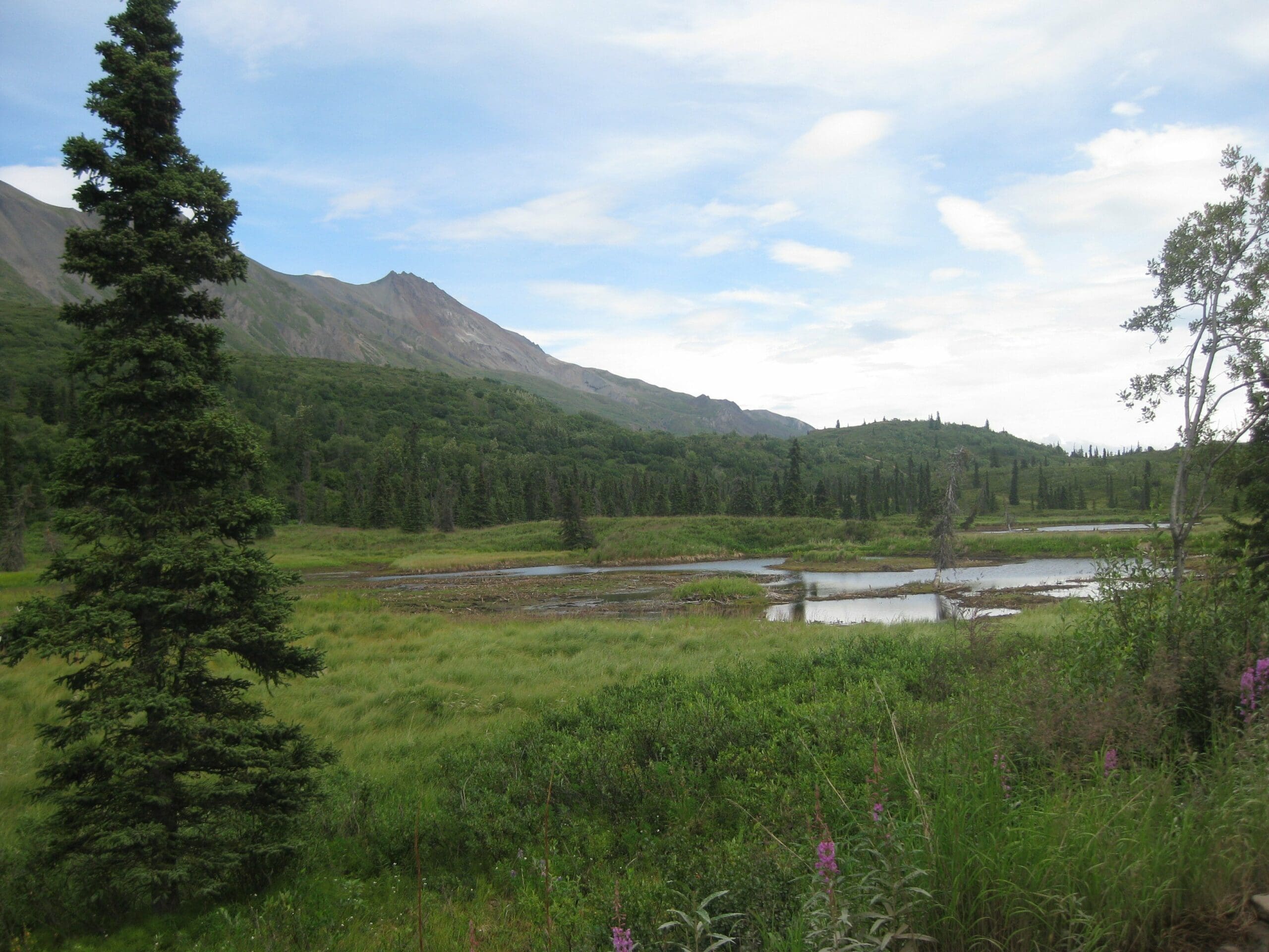 Chitna Pass, Talkeetna, Alaska