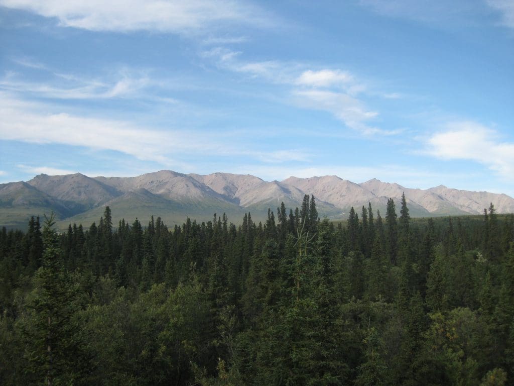 savage river
