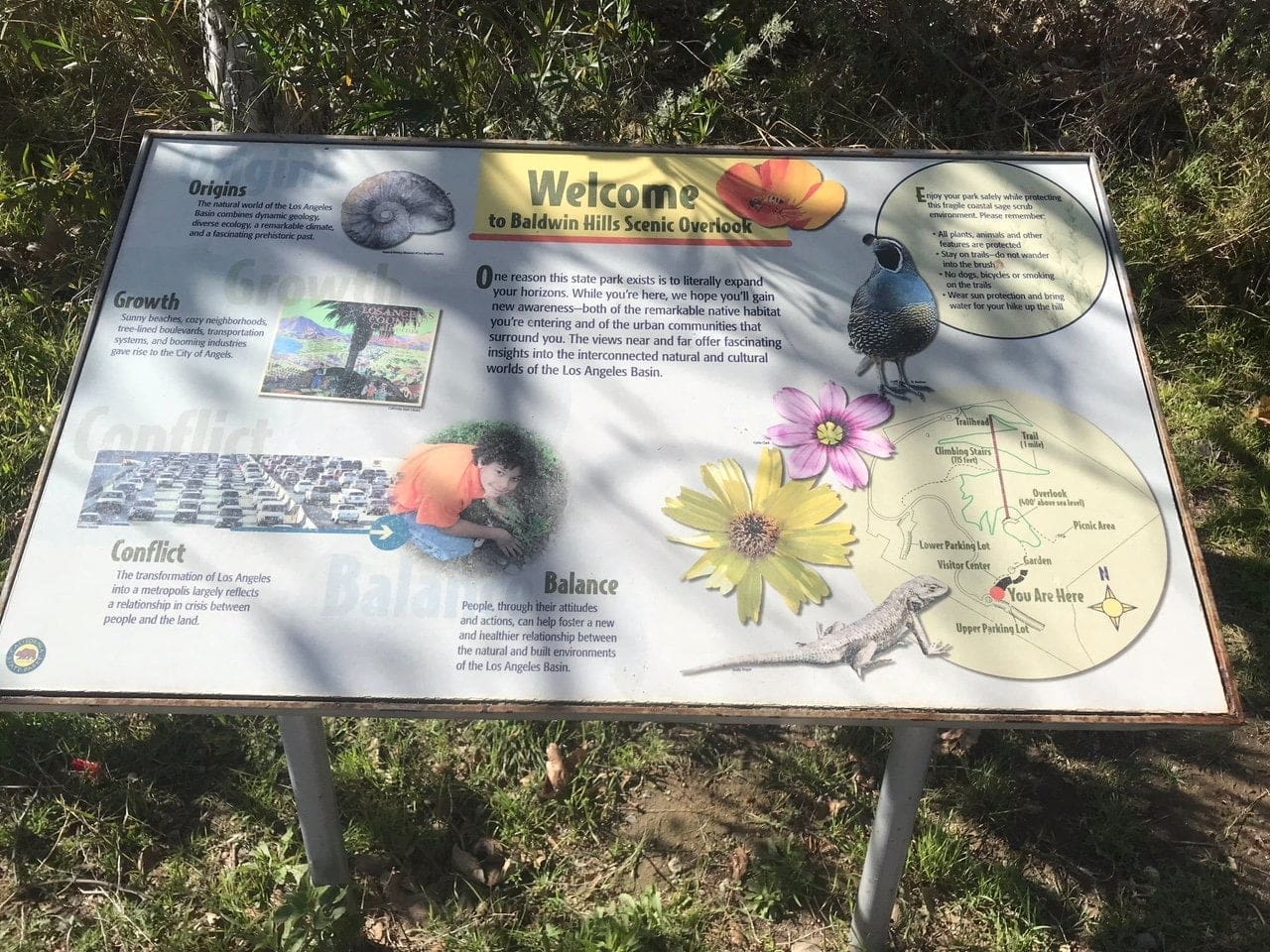 Baldwin hills scenic overlook