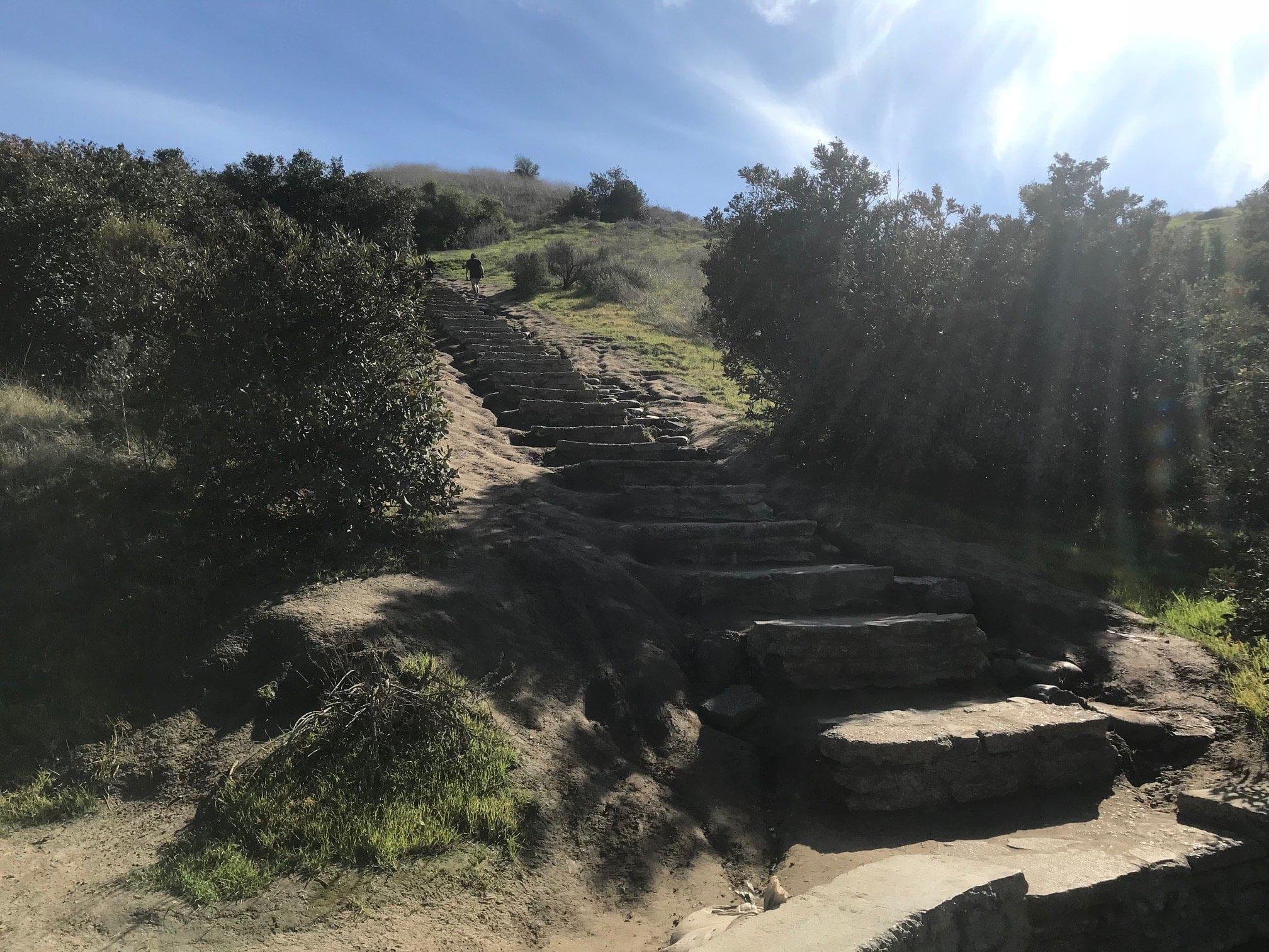 Culver City Stairs 