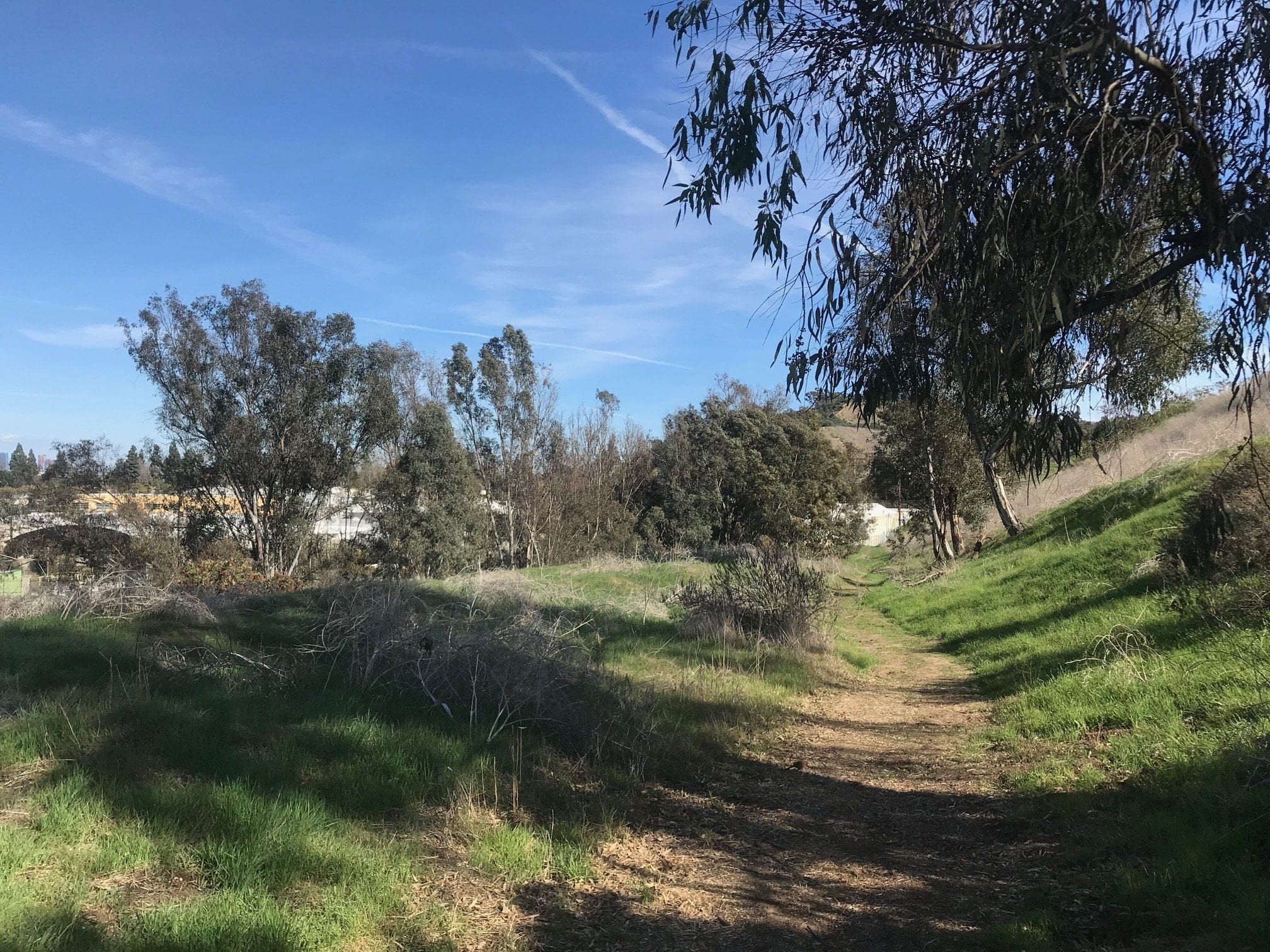 baldwin hills scenic overlook trail