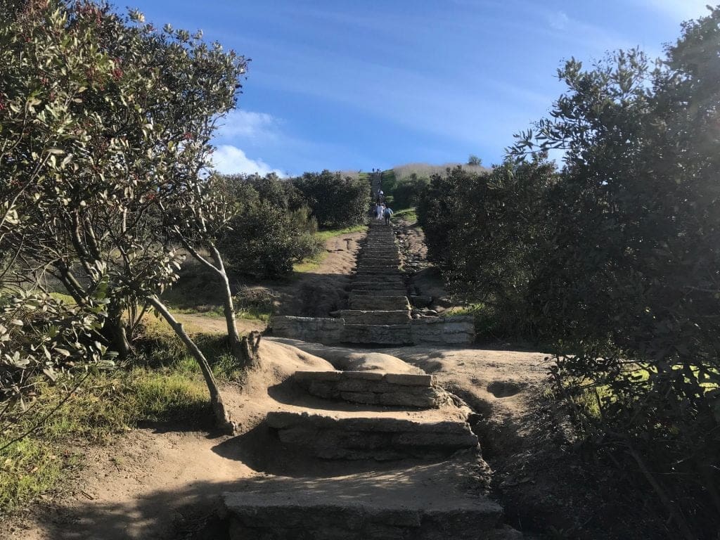 Culver City Stairs The Outdoor Stairmaster of Baldwin Hills