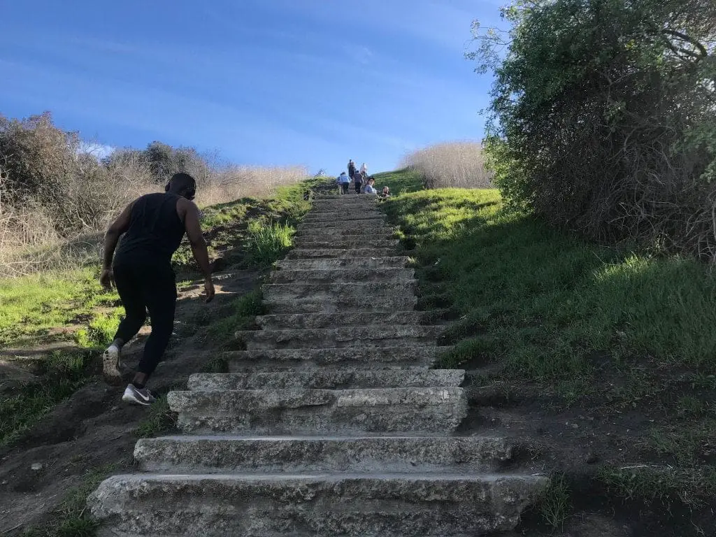  Culver City Stairs steps up the mountain