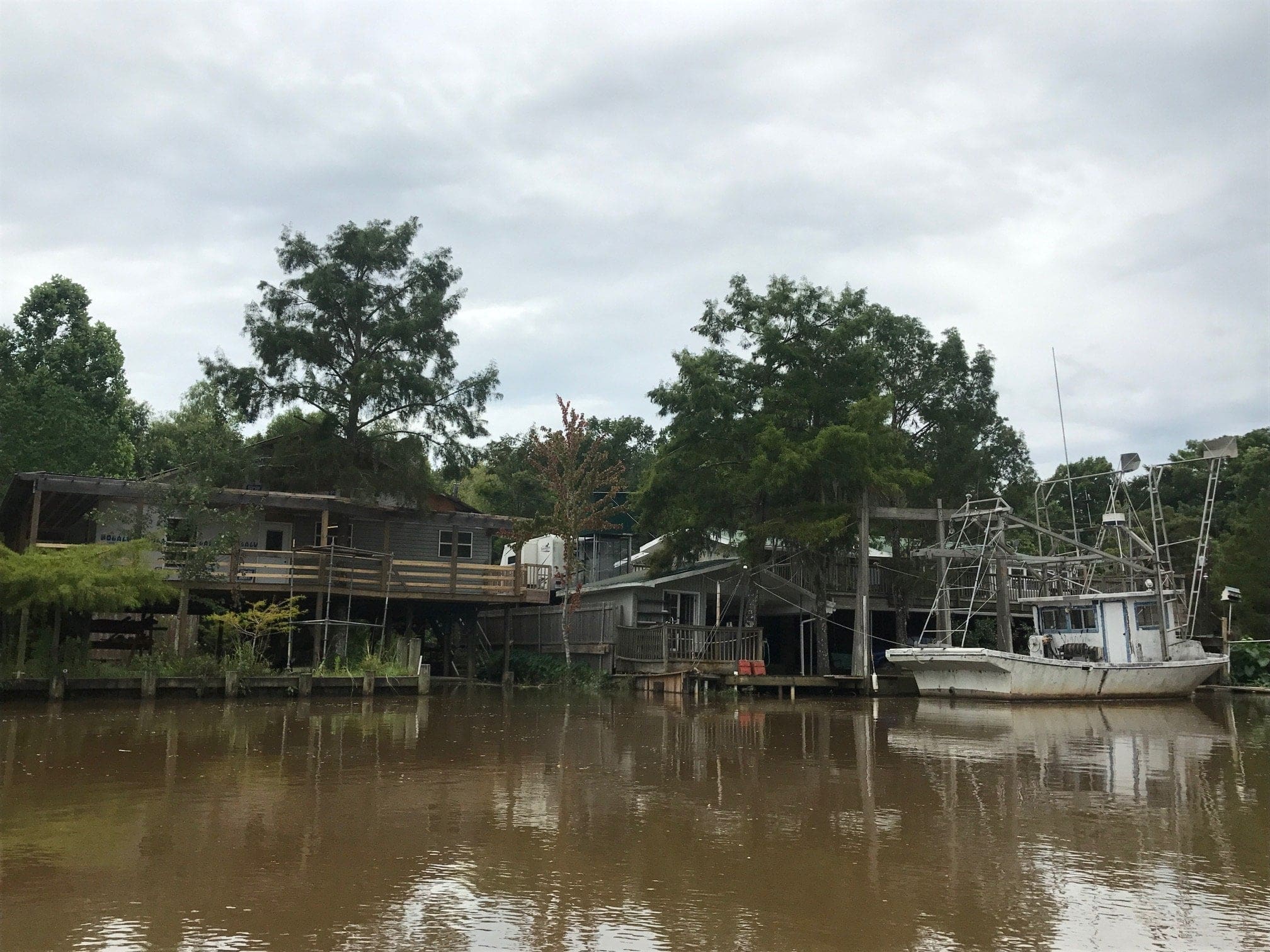 honey island swamp tour