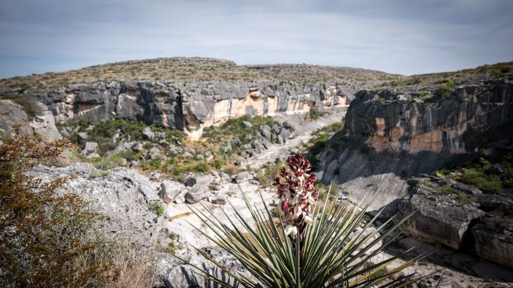 Seminole Canyon