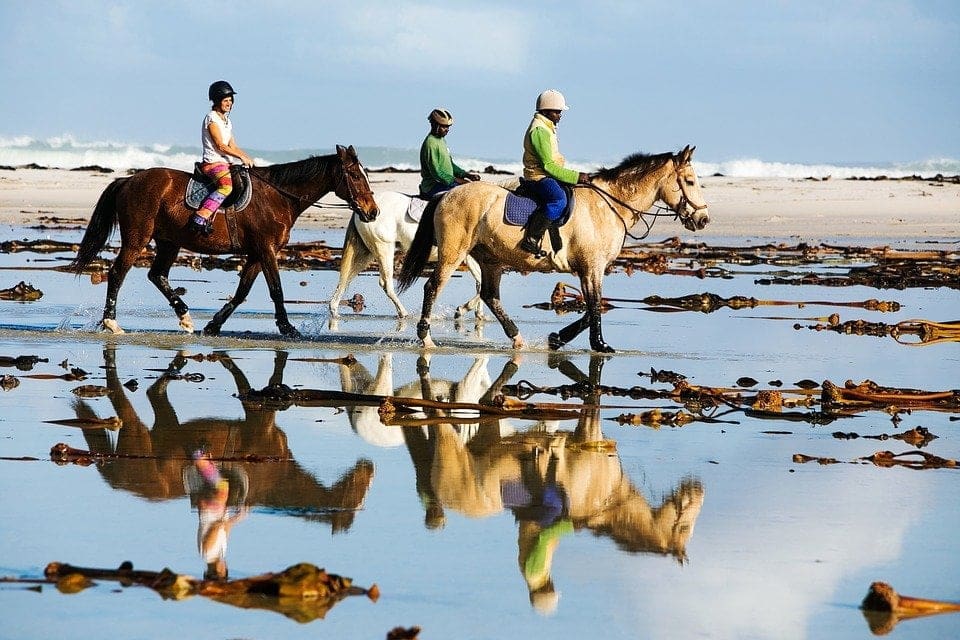 Baja California with children