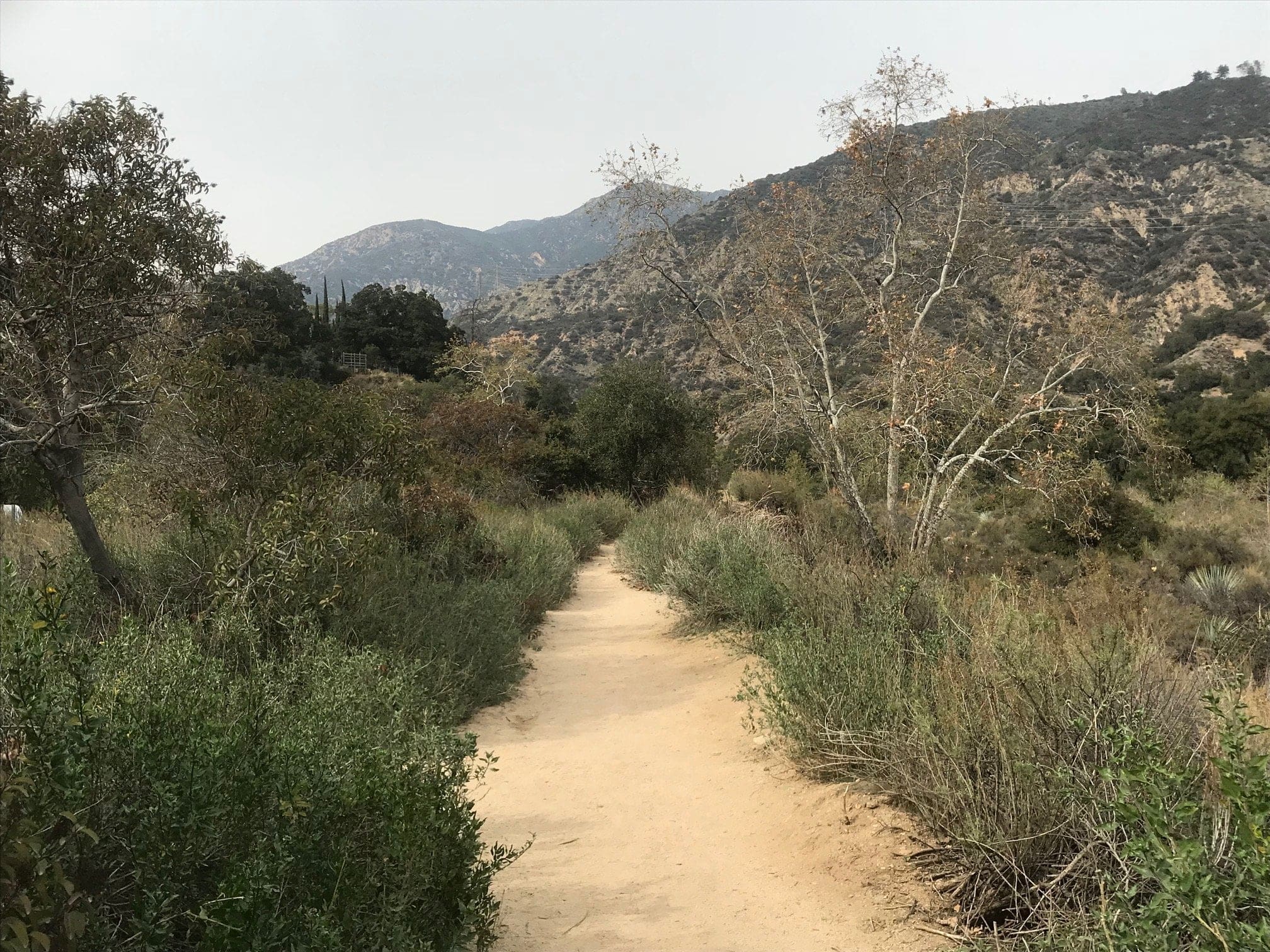 eaton canyon trail through mountains