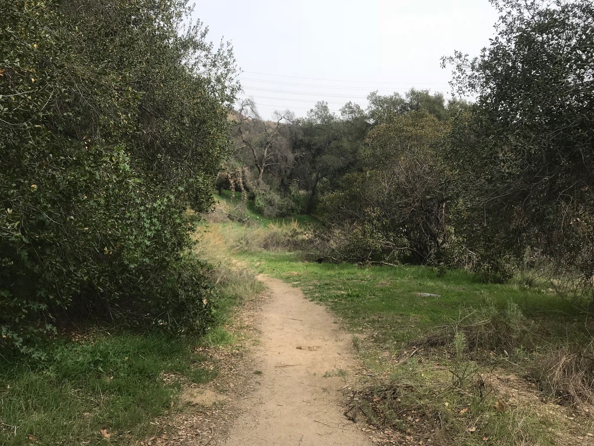 eaton canyon 