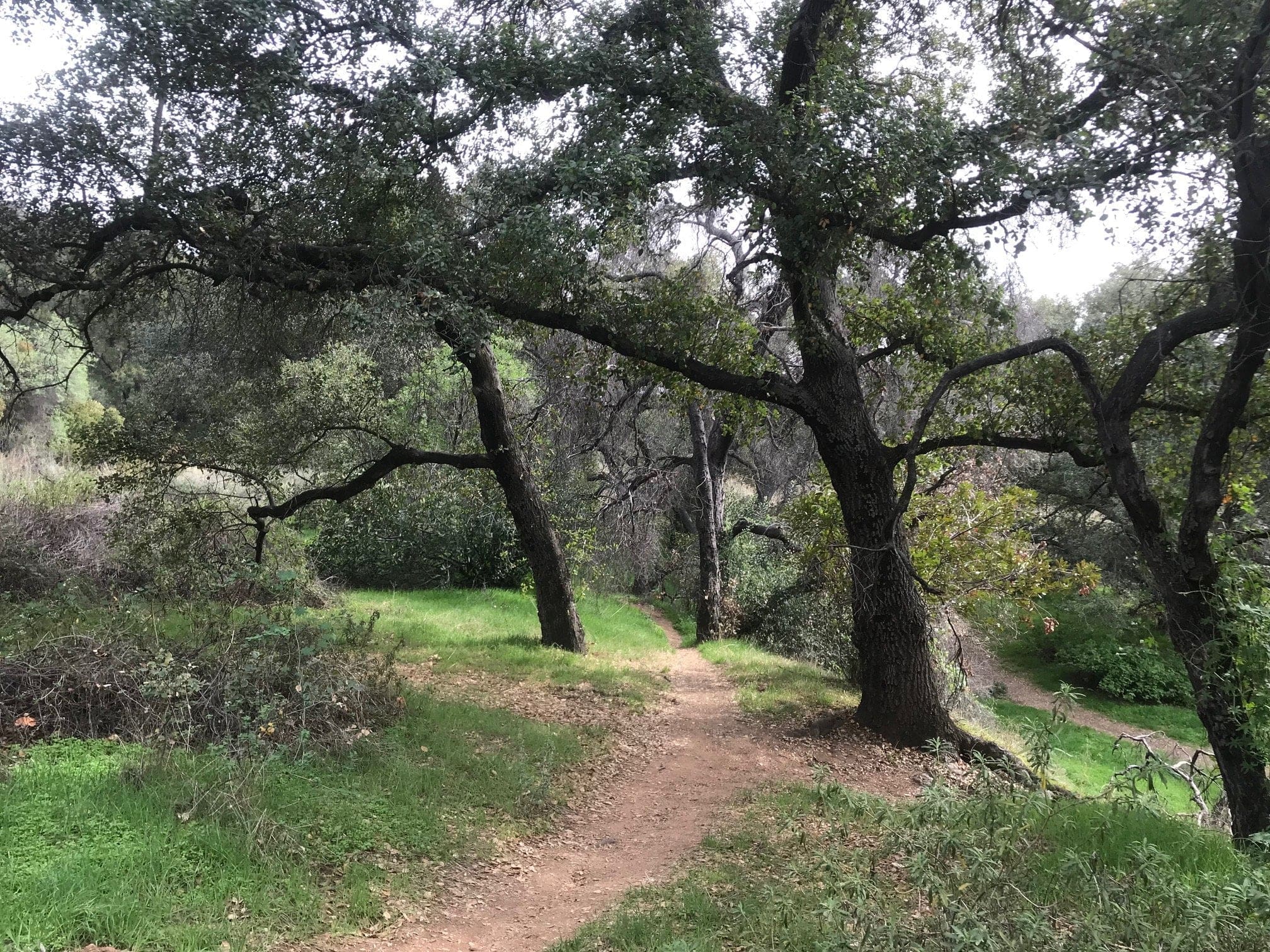 eaton canyon 