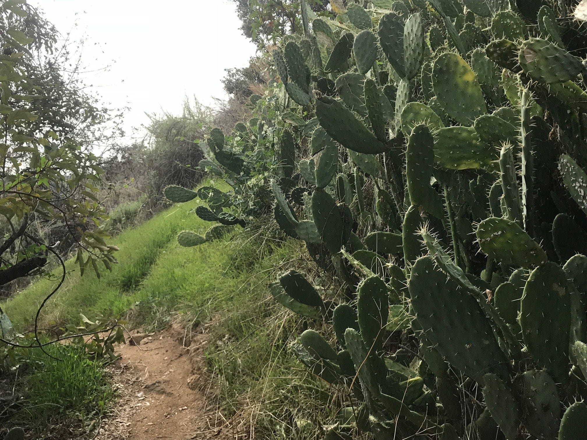 eaton canyon