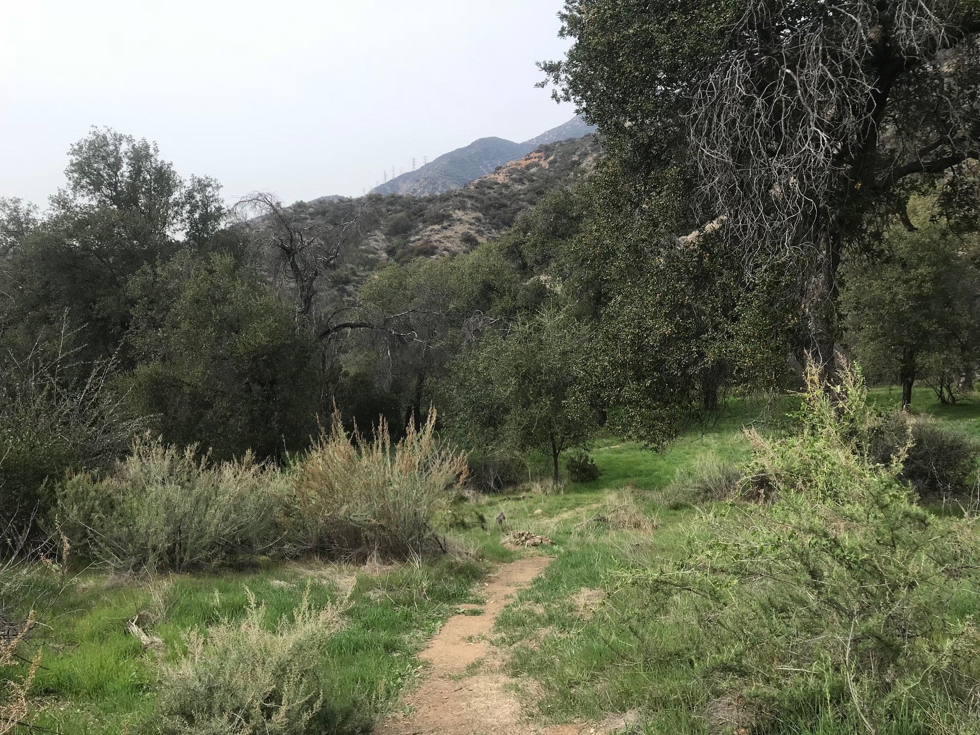 eaton canyon