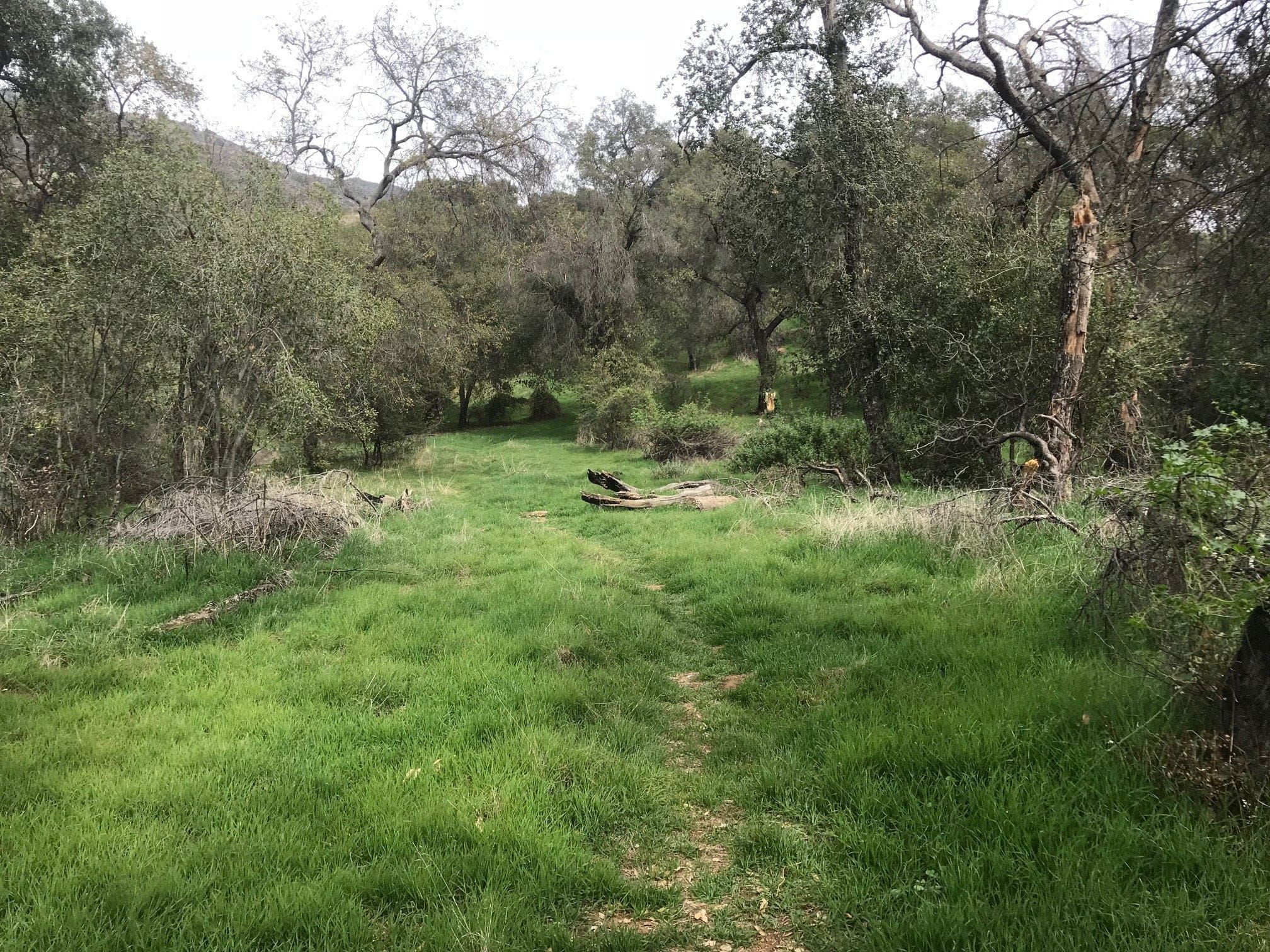 eaton canyon