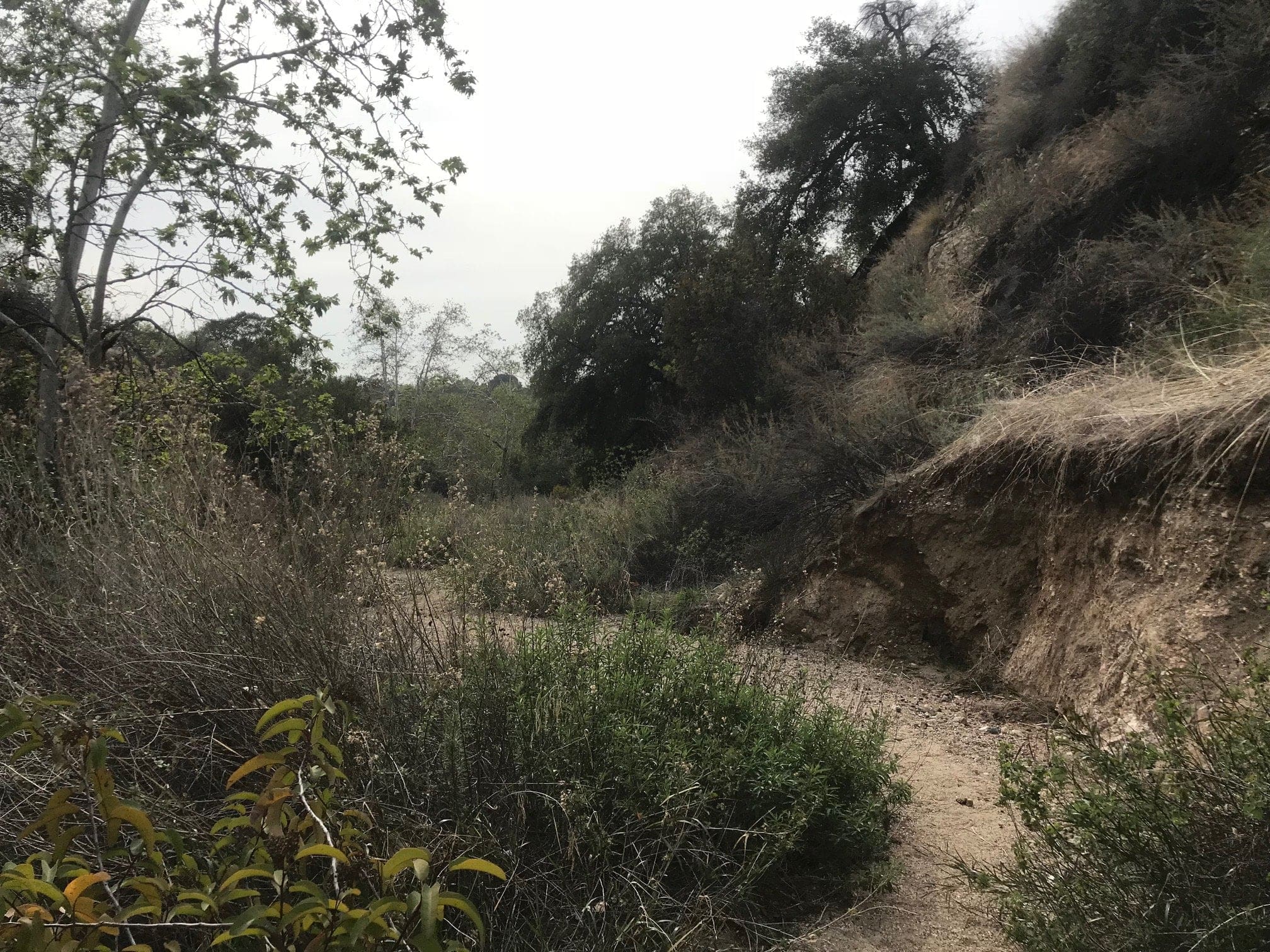 eaton canyon