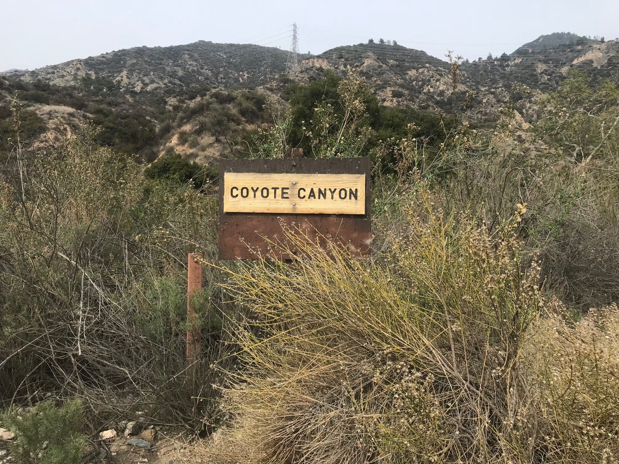 cayote canyon