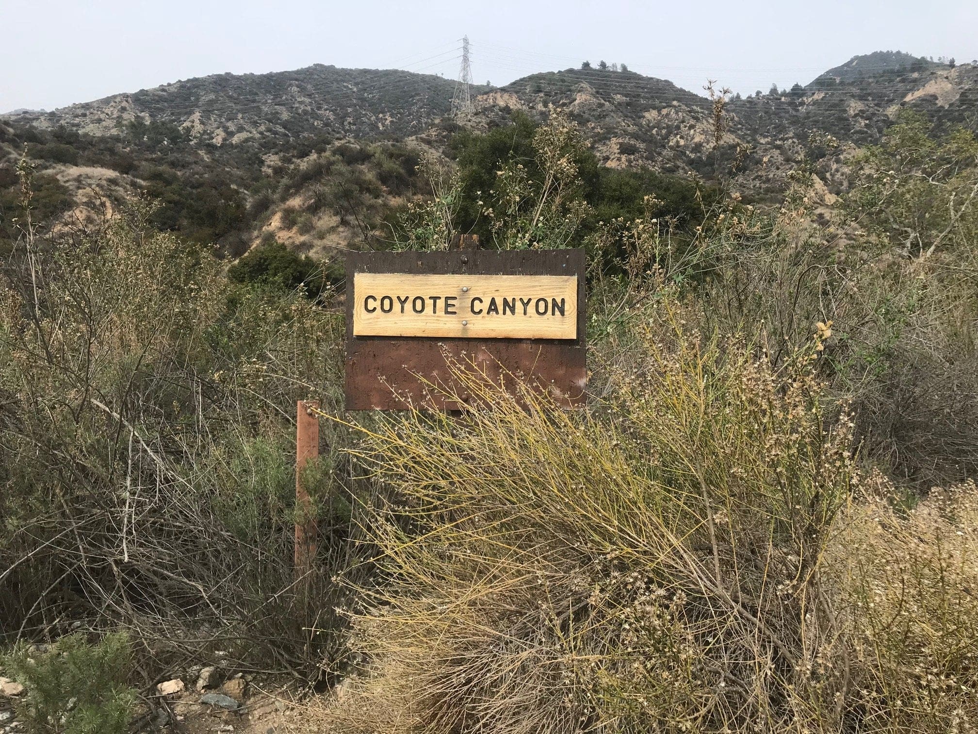 cayote canyon sign