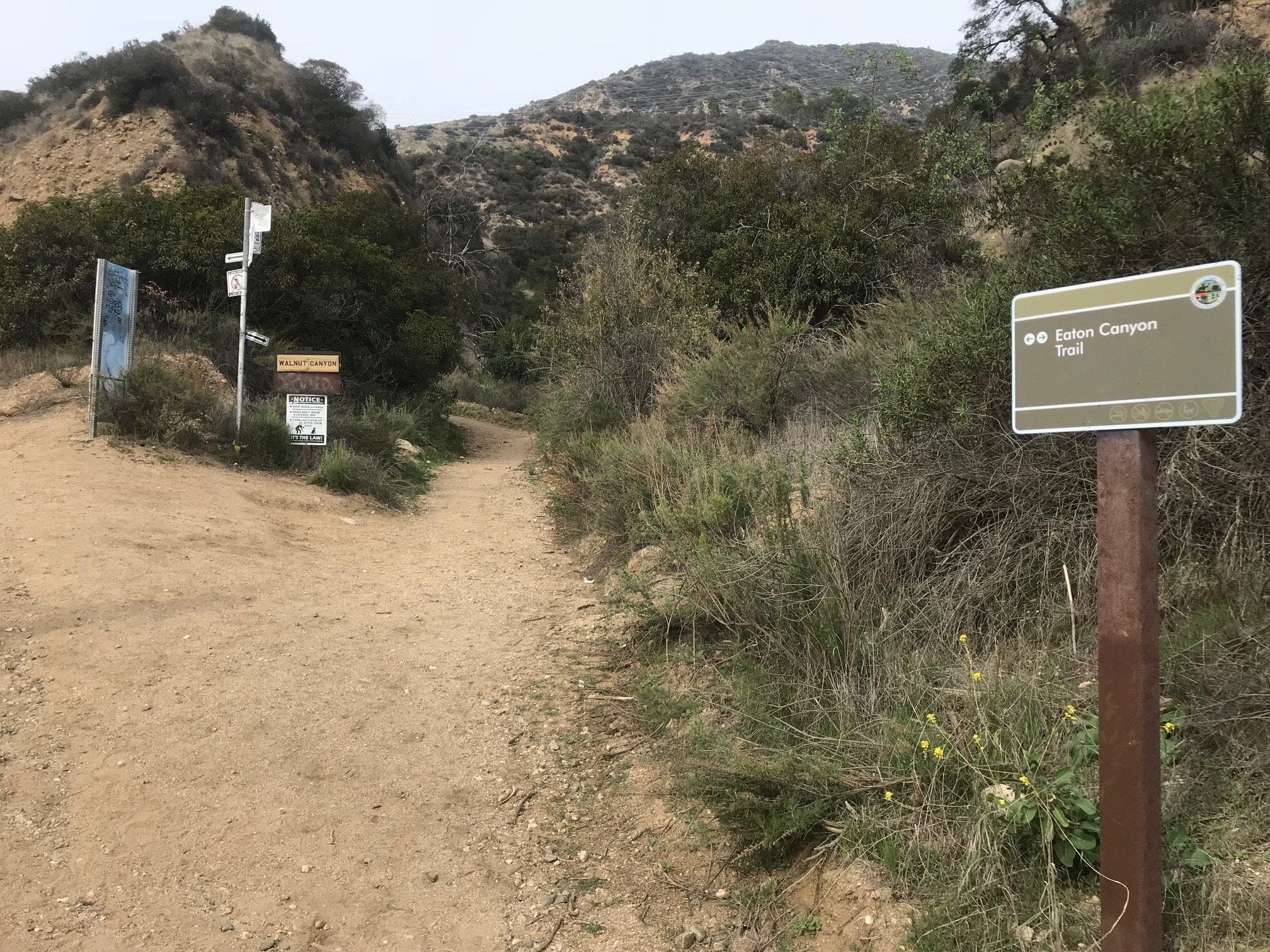 eaton canyon trail