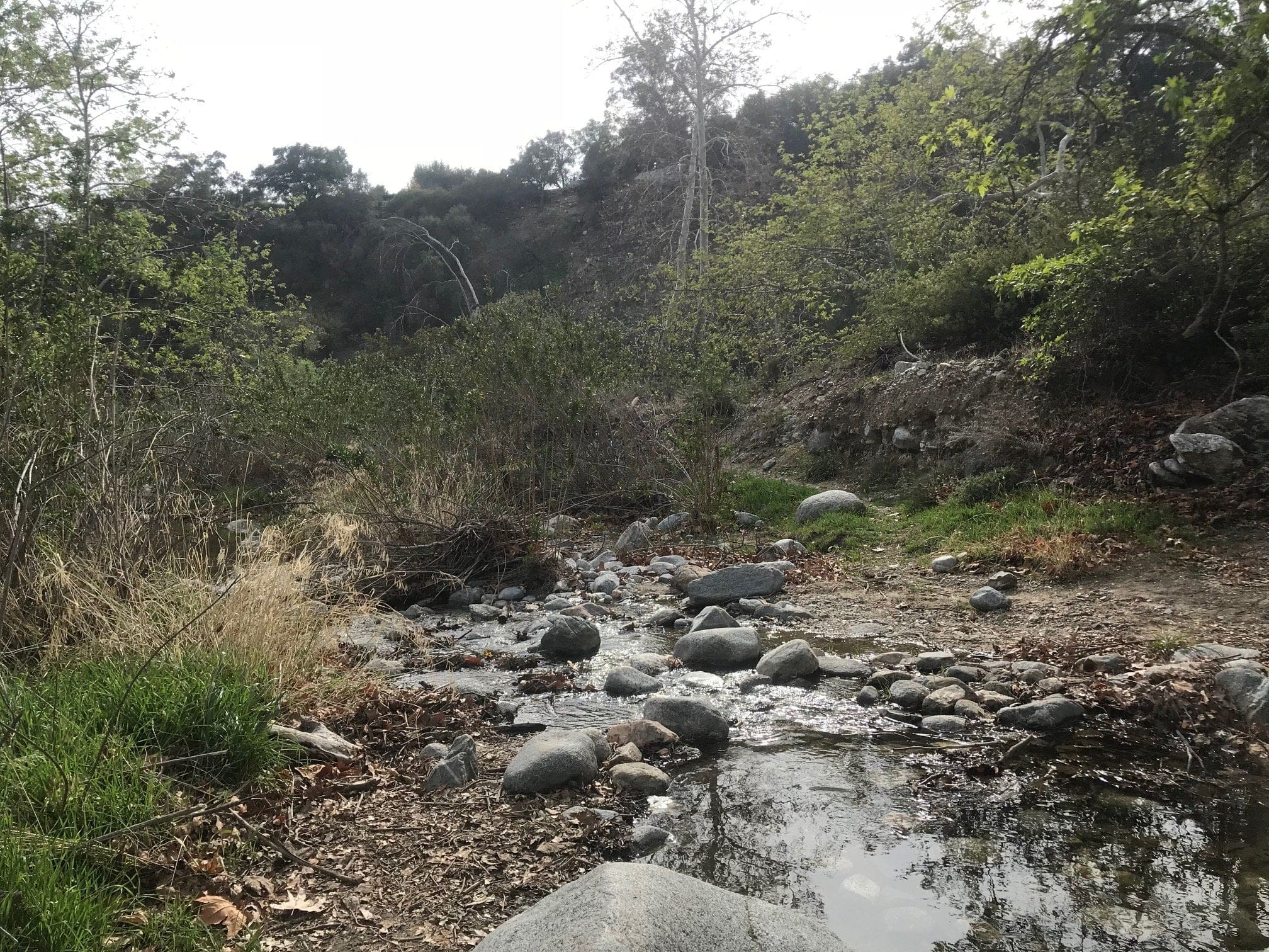 eaton canyon falls