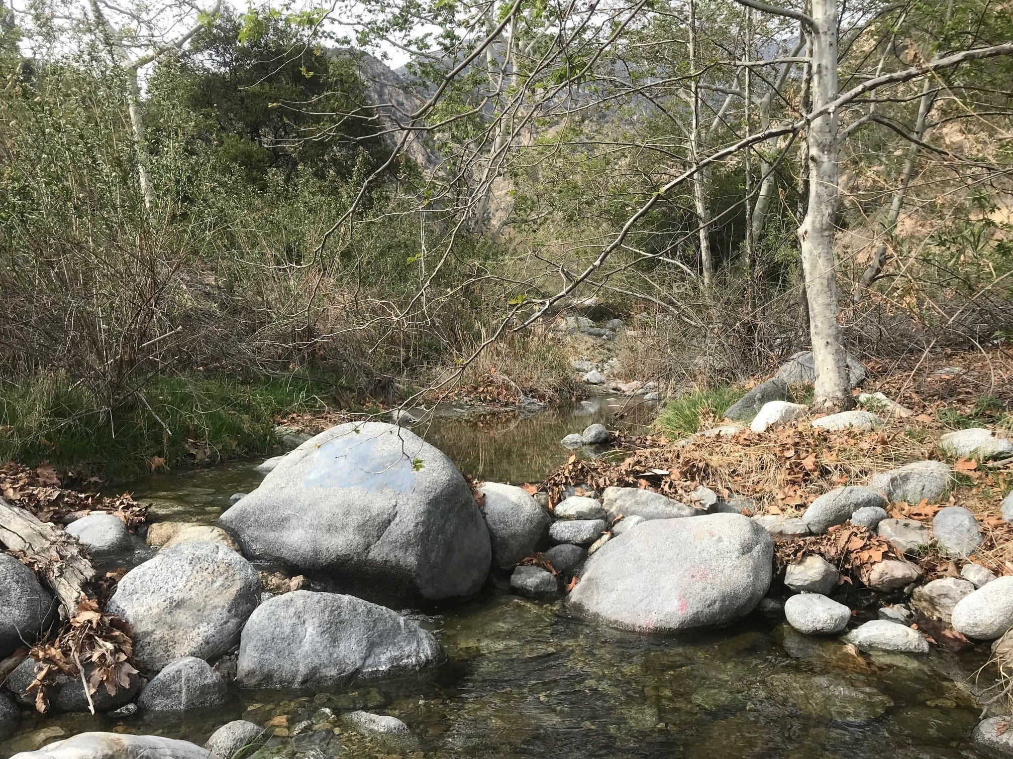 eaton canyon falls