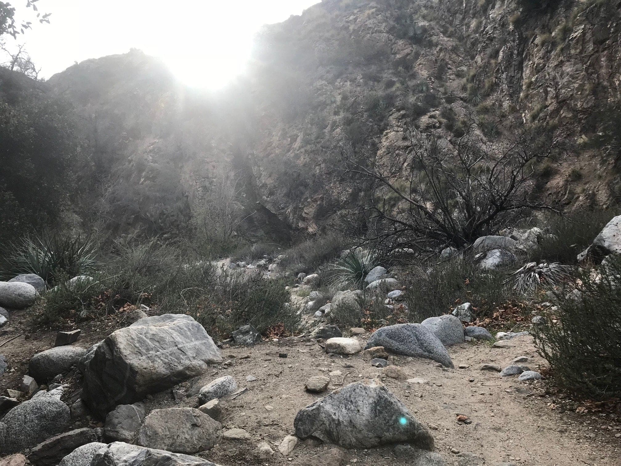 eaton canyon