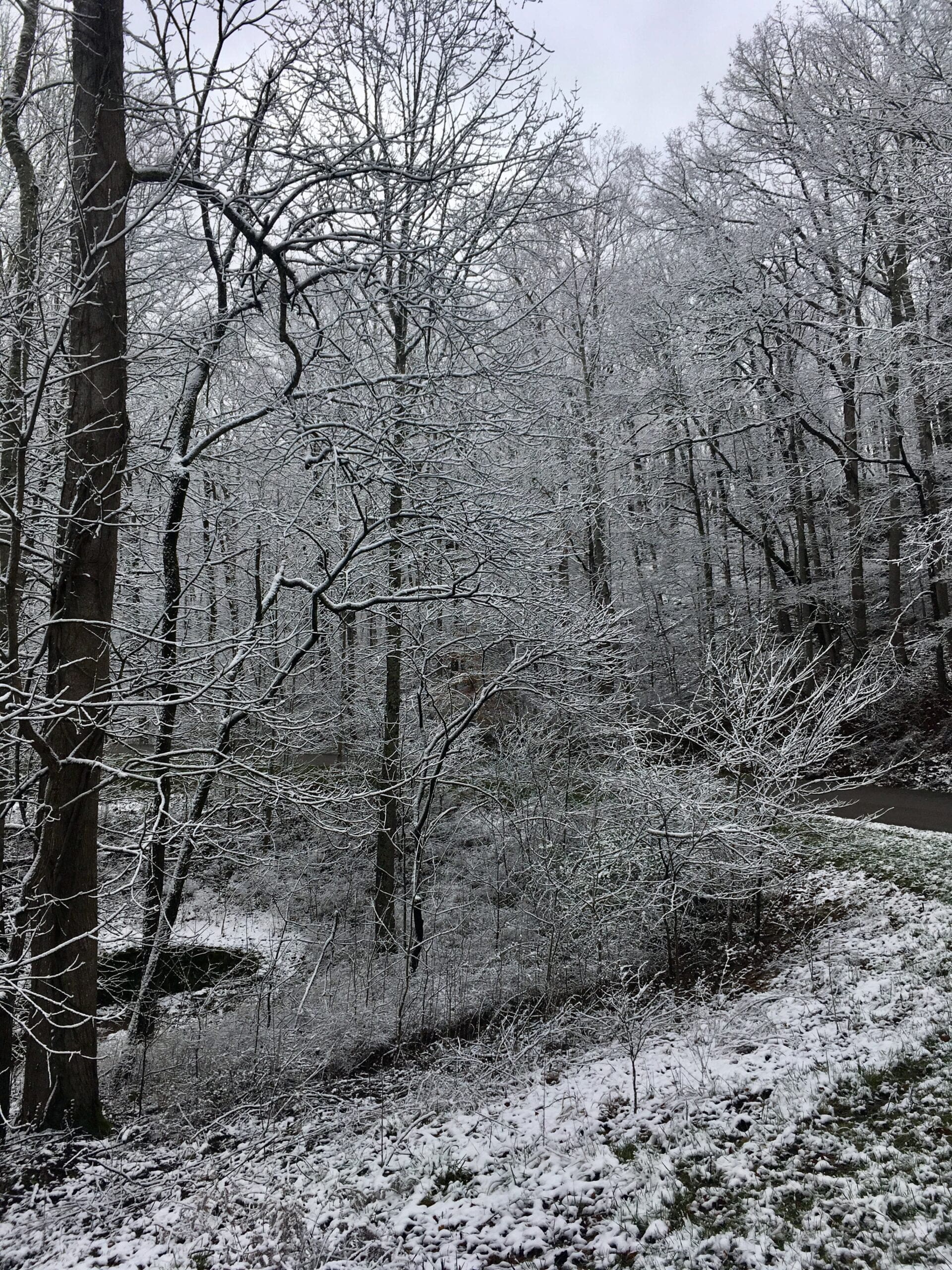 Mammoth Cave National Park