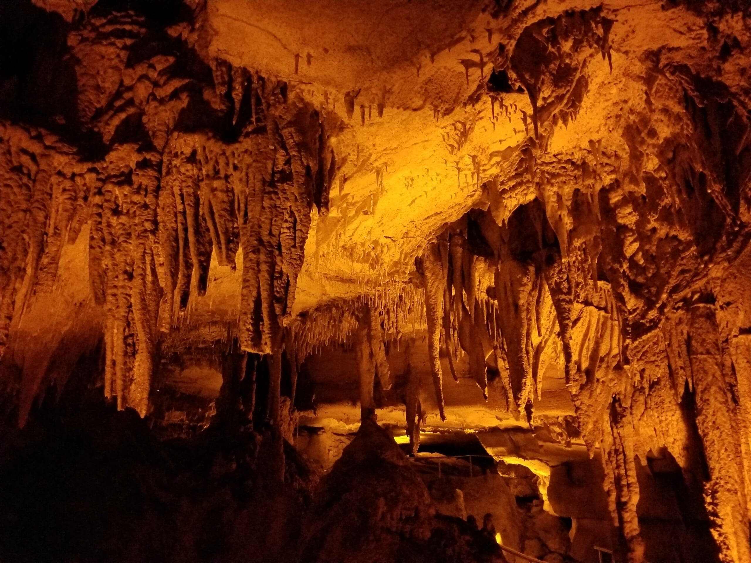 Mammoth Cave National Park