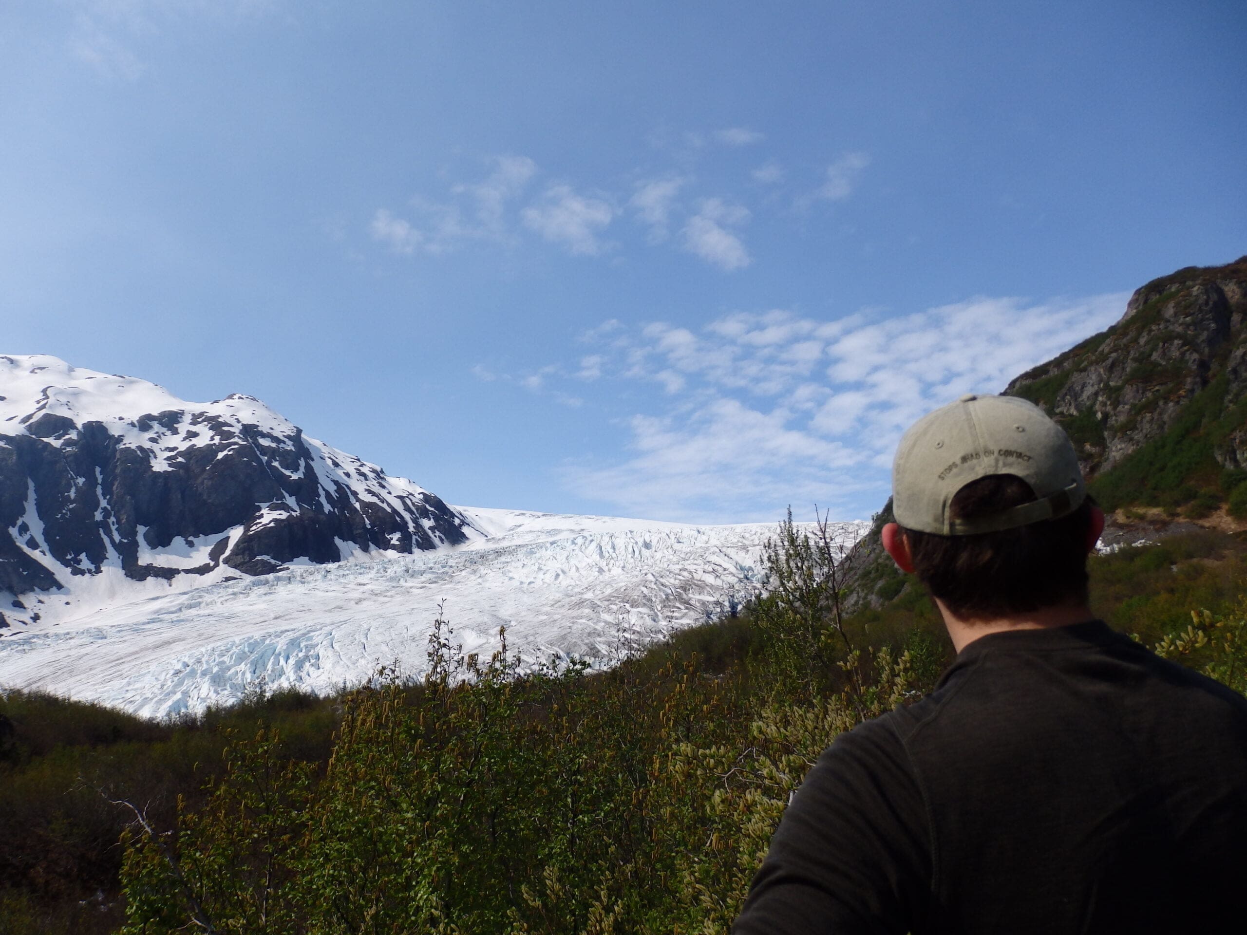 Exit Glacier