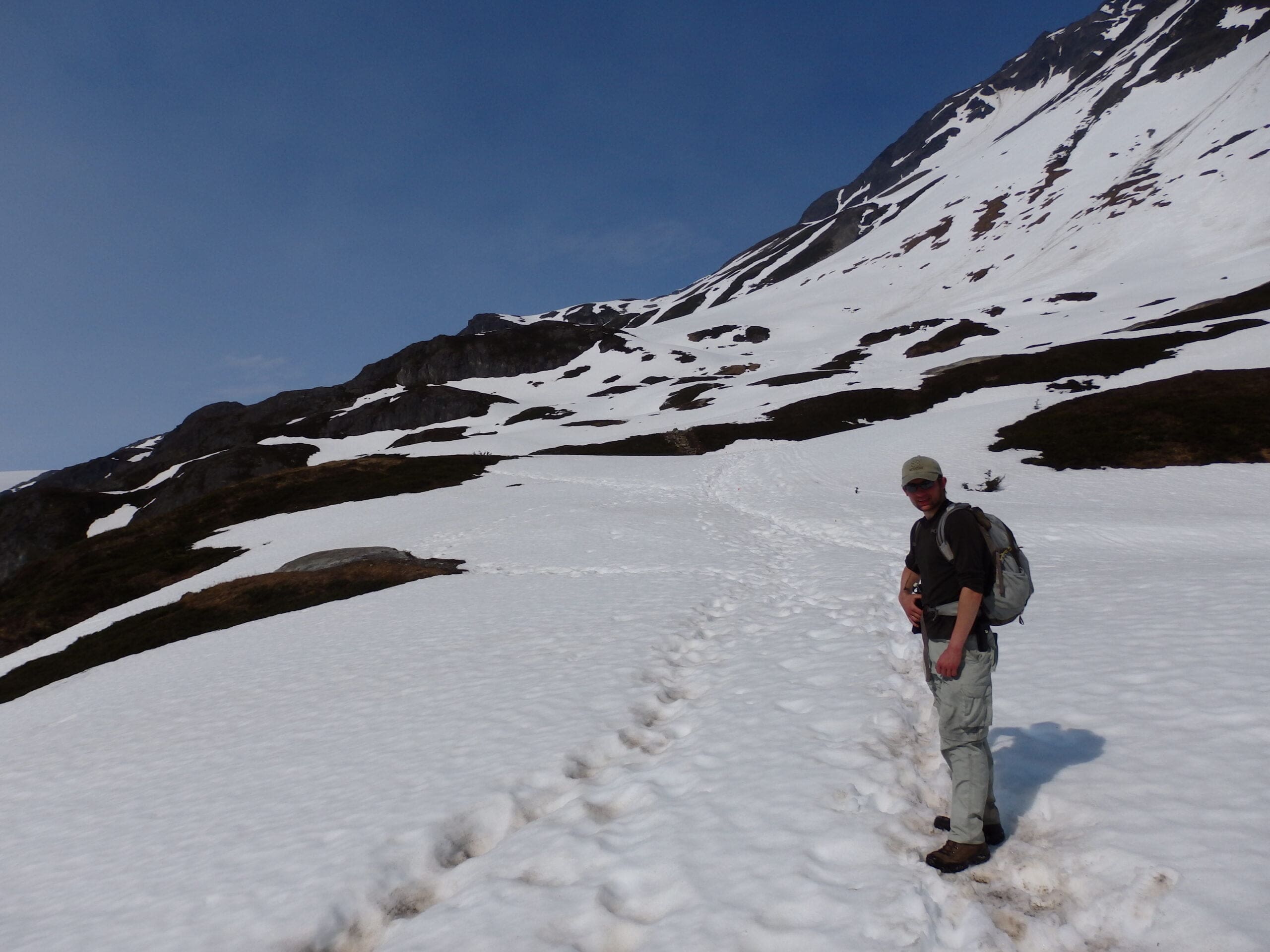 exit glacier harding ice field