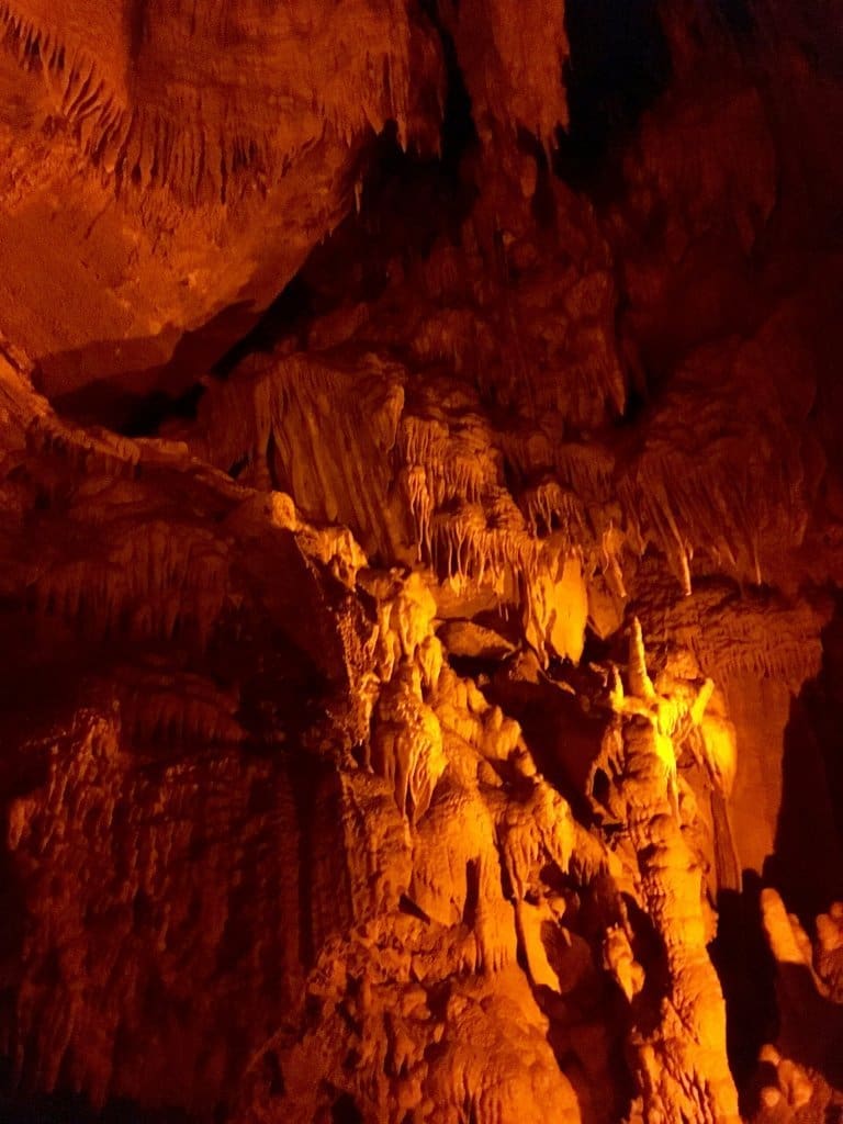 Mammoth Cave National Park