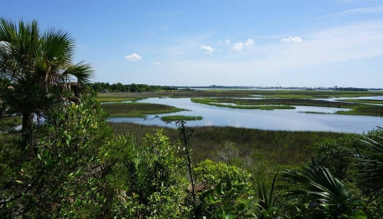 Timucuan Preserve