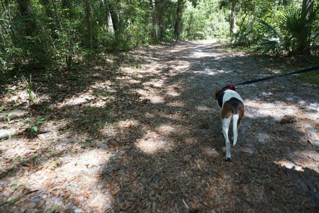 The Timucuan Ecological and Historical Preserve