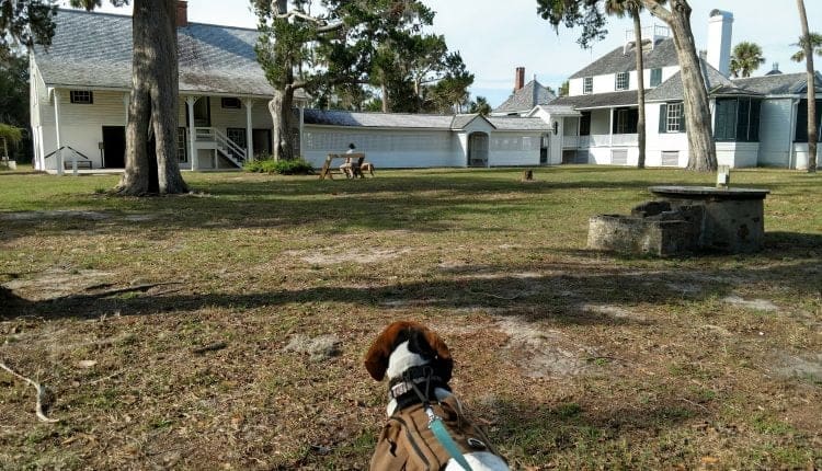 Timucuan Preserve Kingsley Plantation