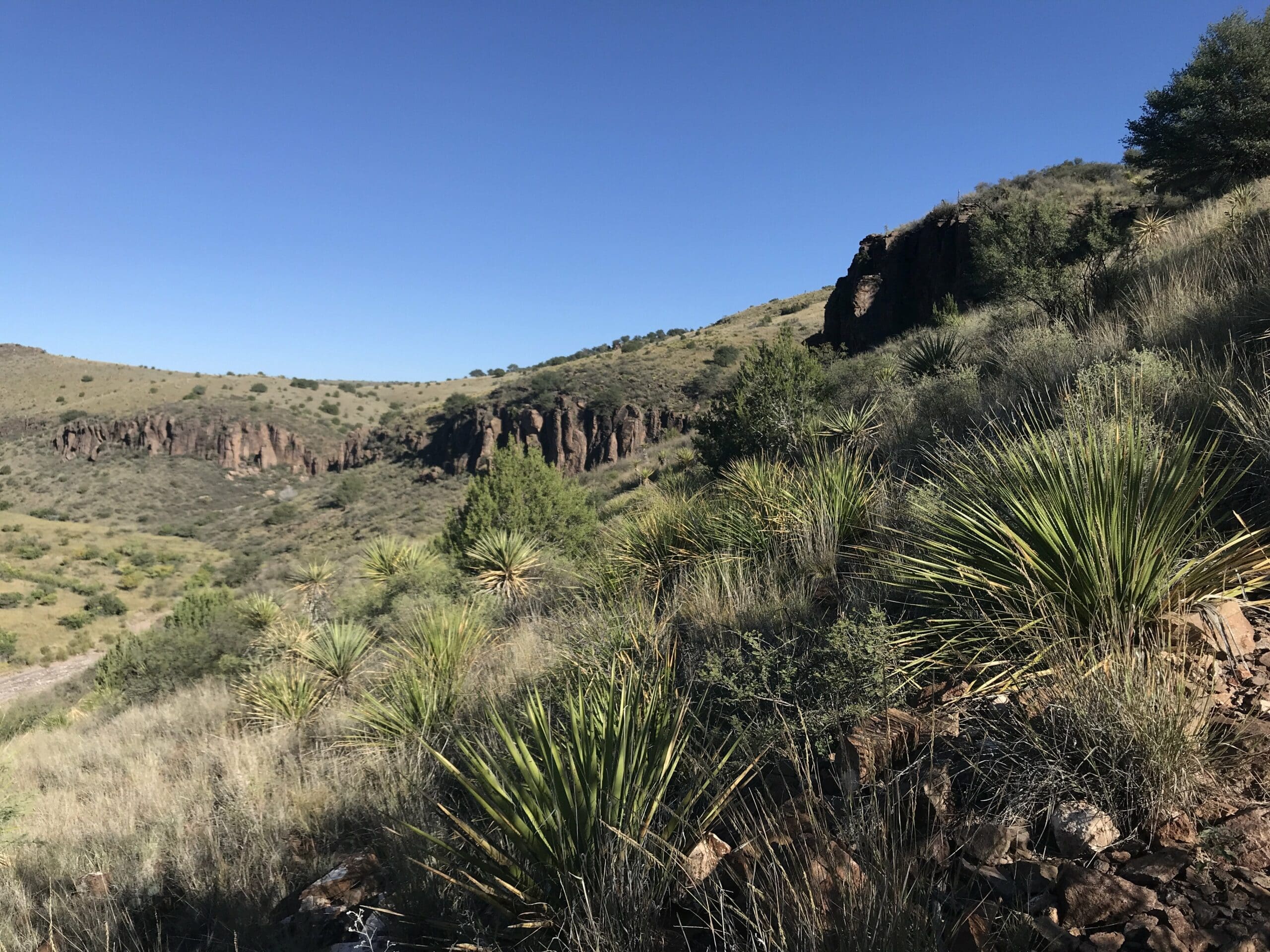 Davis Mountains State Park