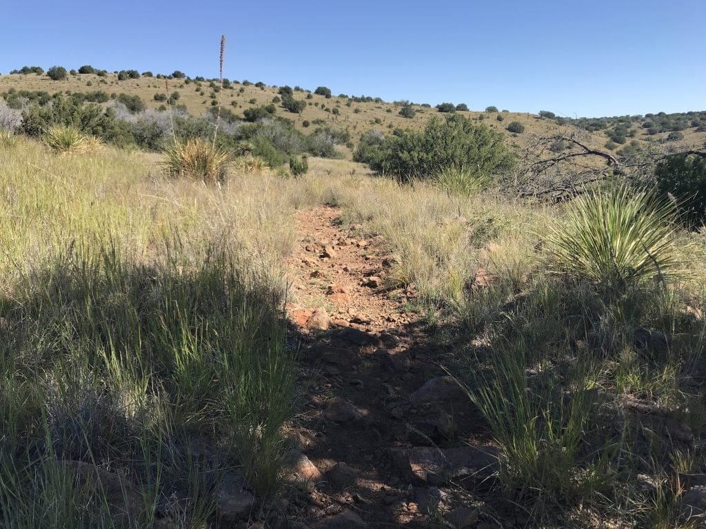 Davis Mountains State Park - Gateway to the Cosmos | Rockchuck Summit