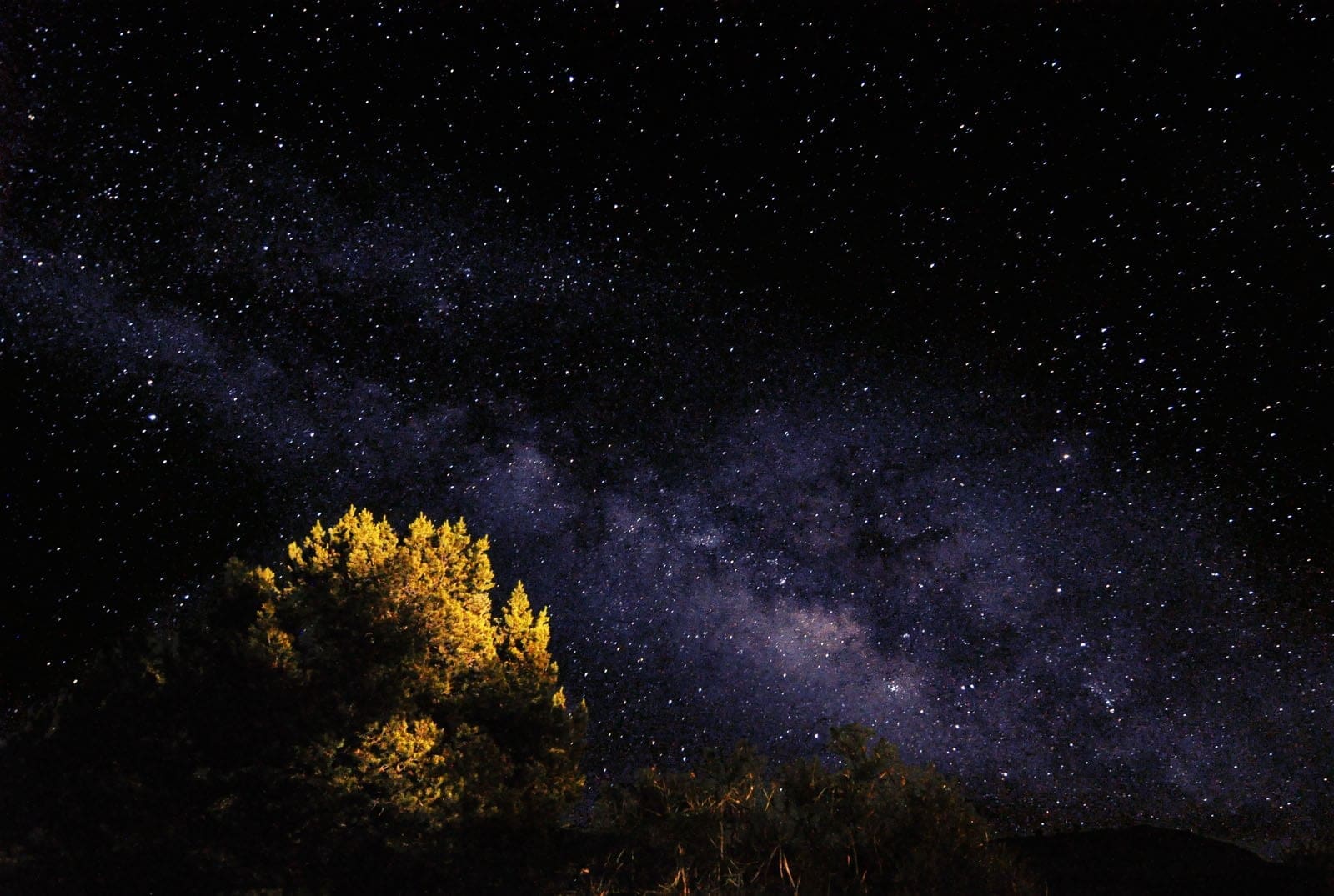 davis mountains state park milky way