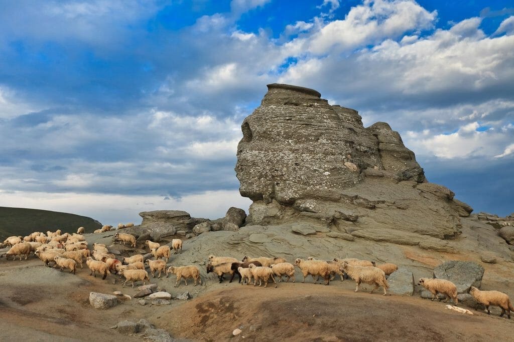 Bucegi Sphinx 