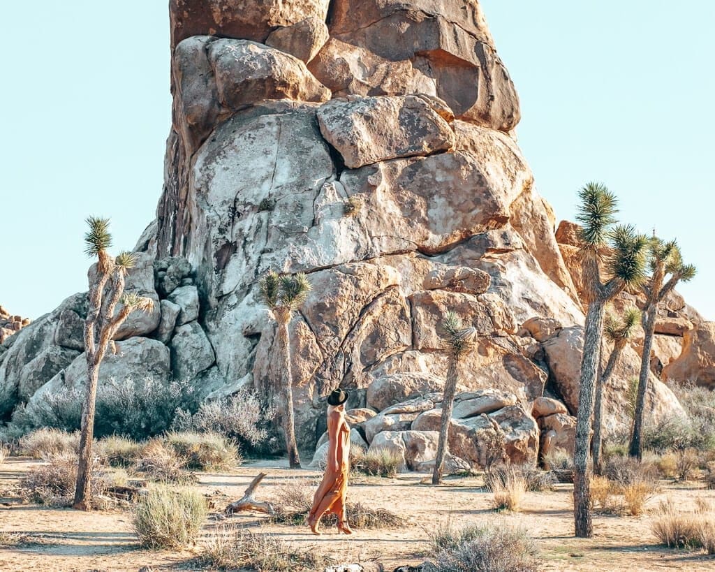 Joshua Tree National Park