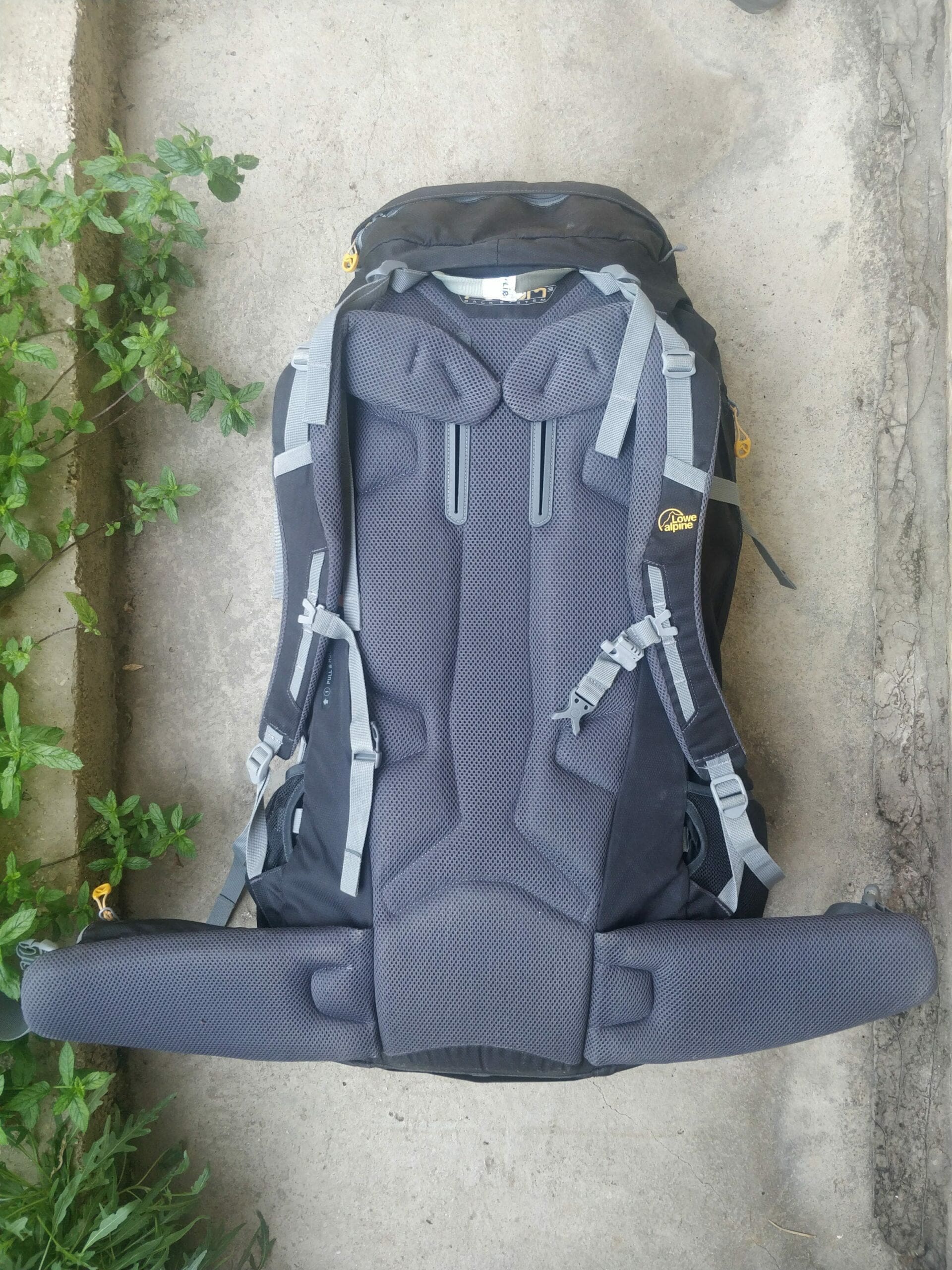 Lowe Alpine Diran Backpack back & waste support