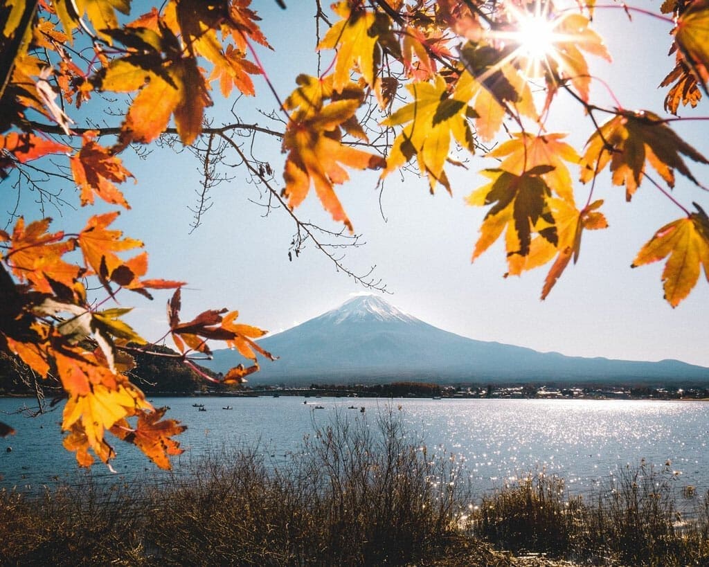 Mt Fuji National Park