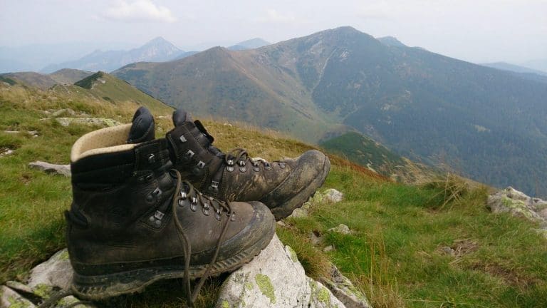 Hiking Shoes