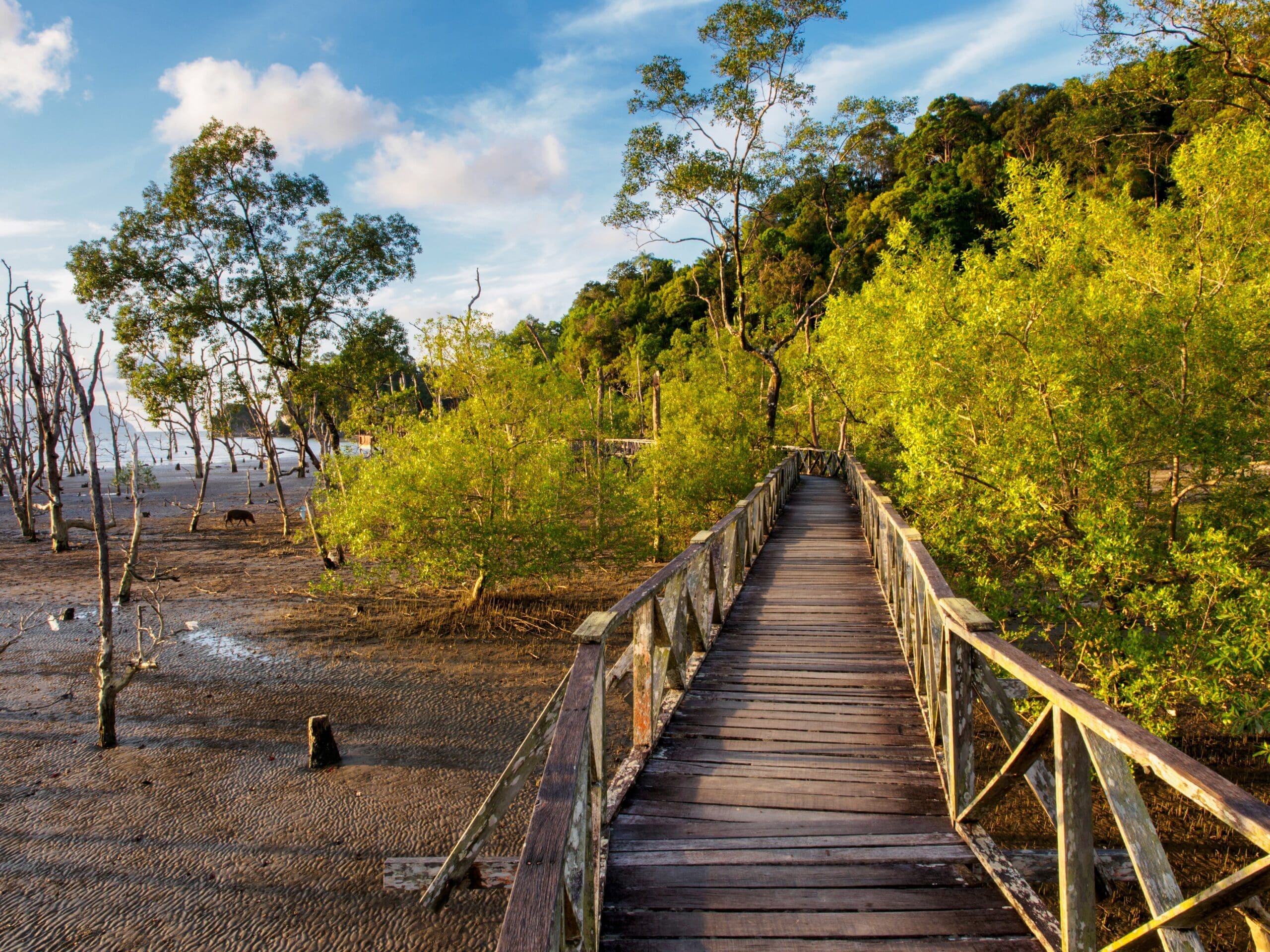 Bako national park, Borneo, Malaysia