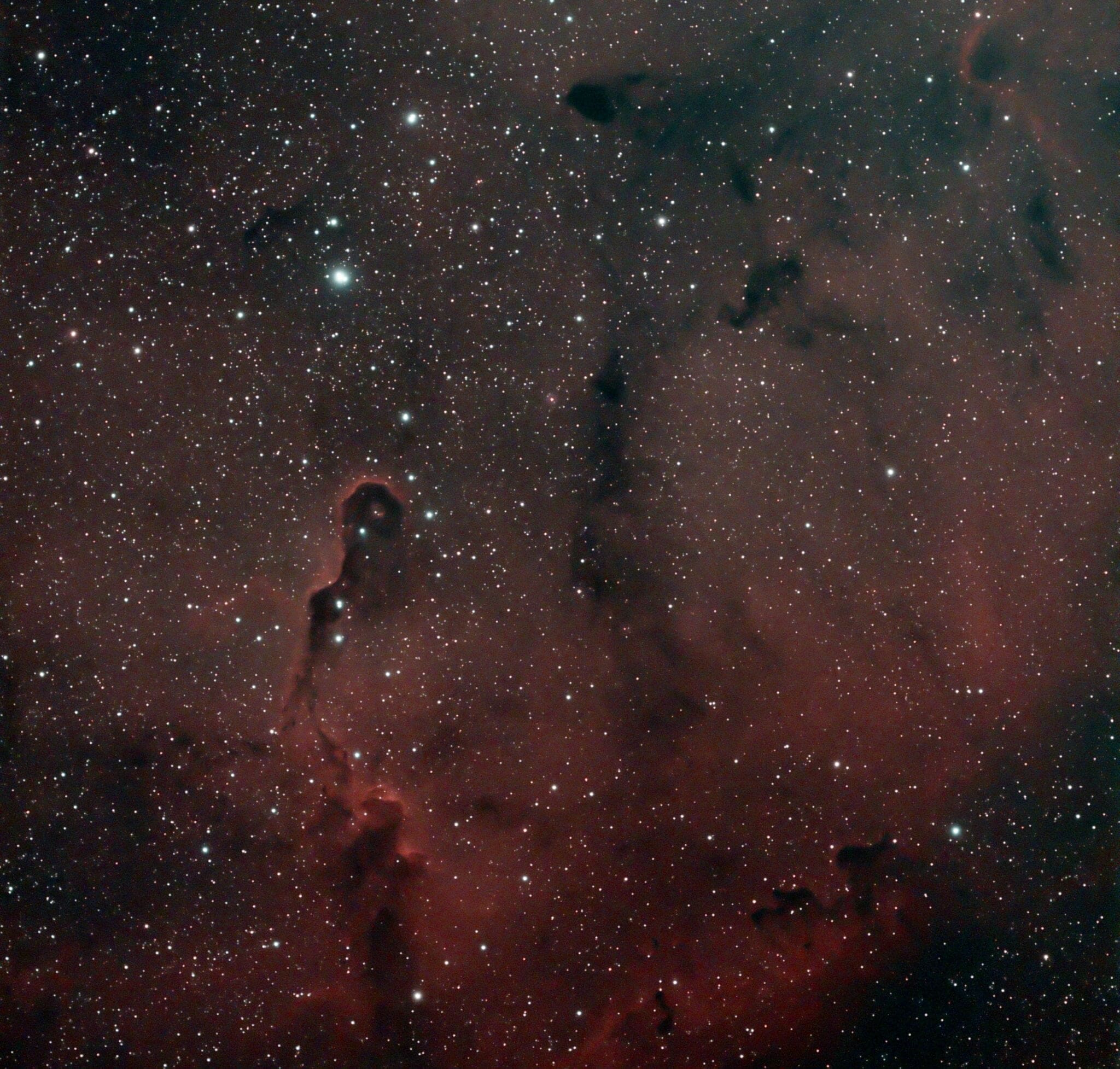 The Elephant Trunk Nebula | Rockchuck Summit