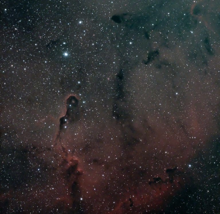 The Elephant Trunk Nebula